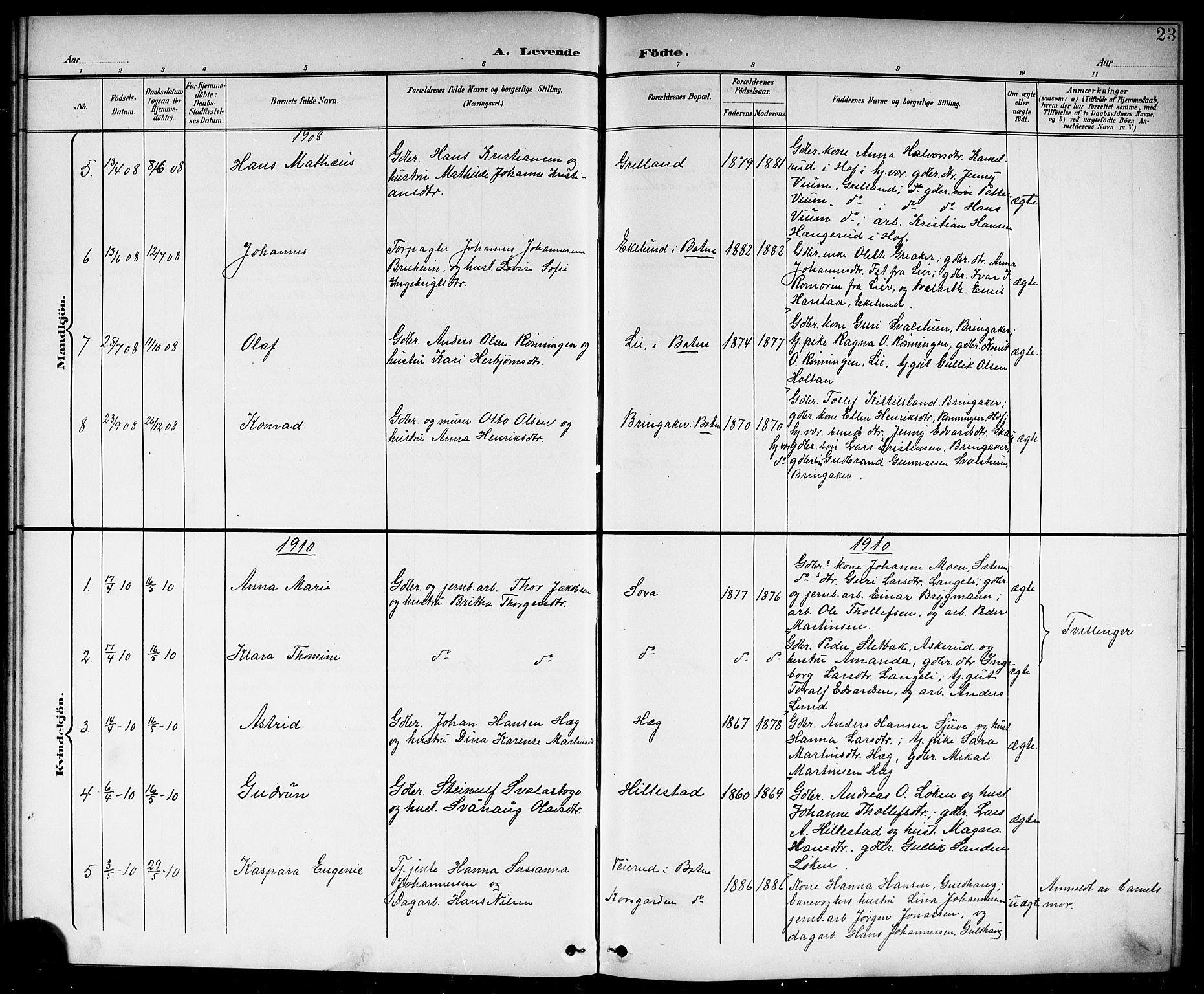 Botne kirkebøker, SAKO/A-340/G/Gb/L0004: Parish register (copy) no. II 3, 1899-1917, p. 23