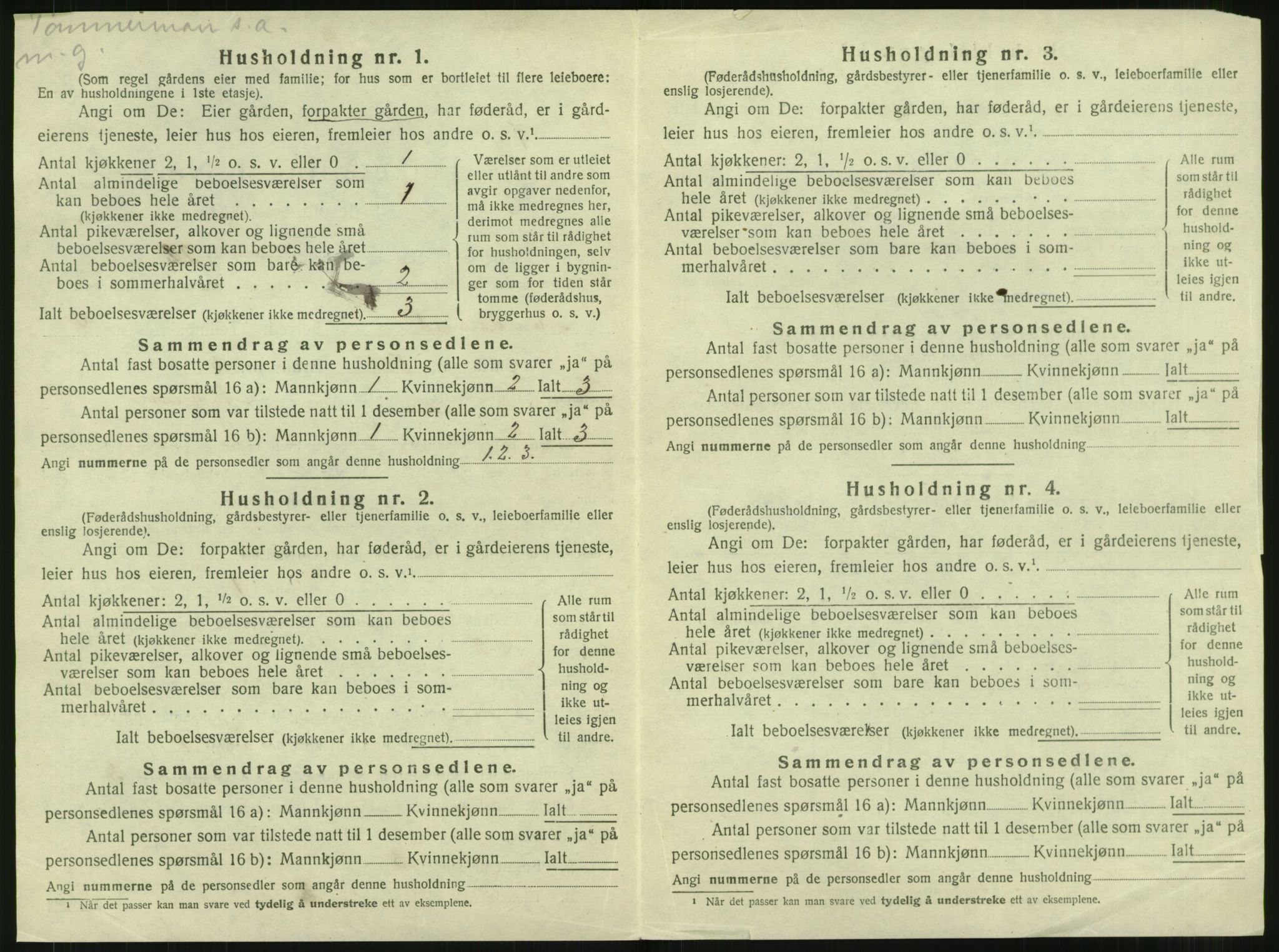 SAT, 1920 census for Namdalseid, 1920, p. 521