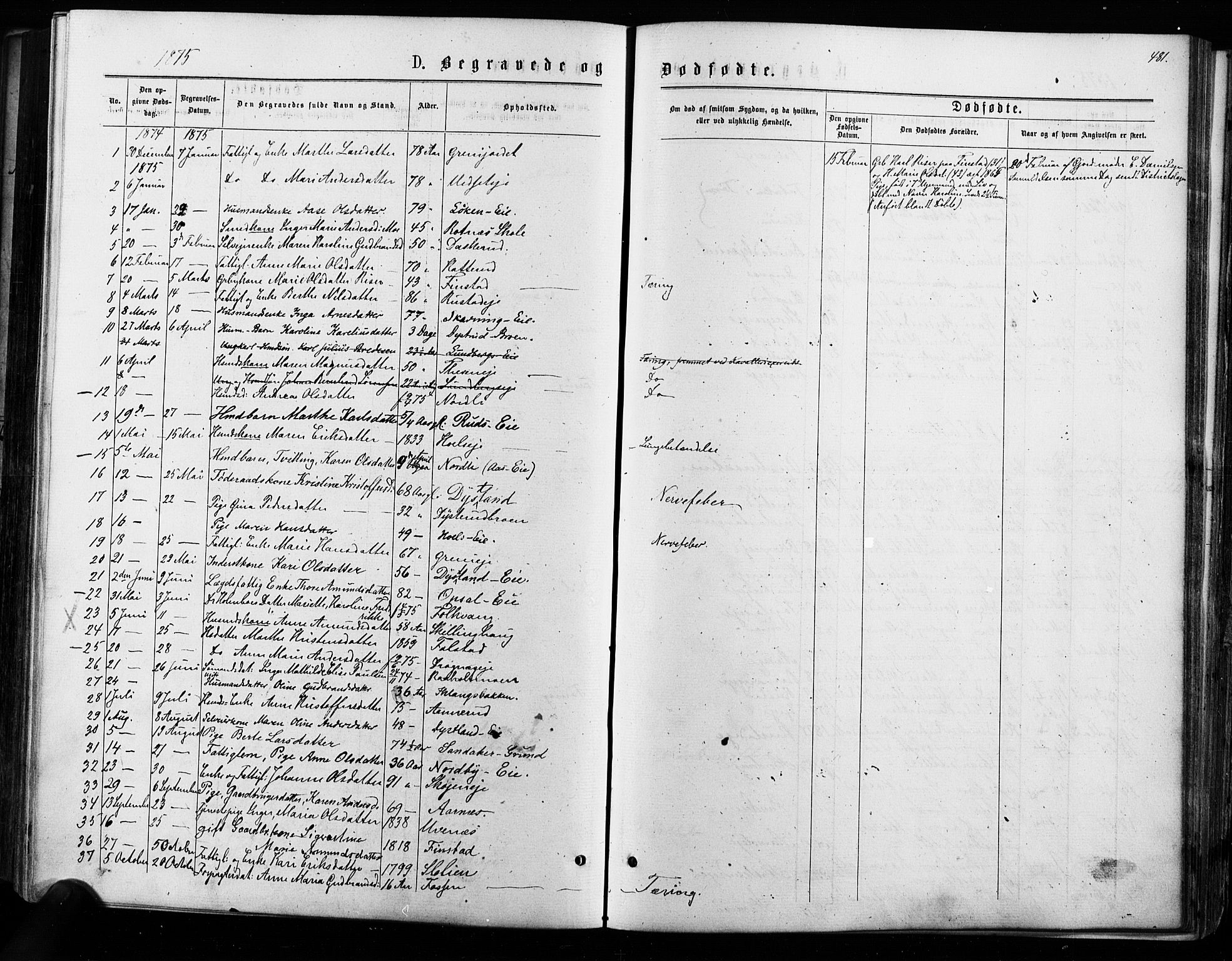 Nes prestekontor Kirkebøker, SAO/A-10410/F/Fa/L0009: Parish register (official) no. I 9, 1875-1882, p. 481