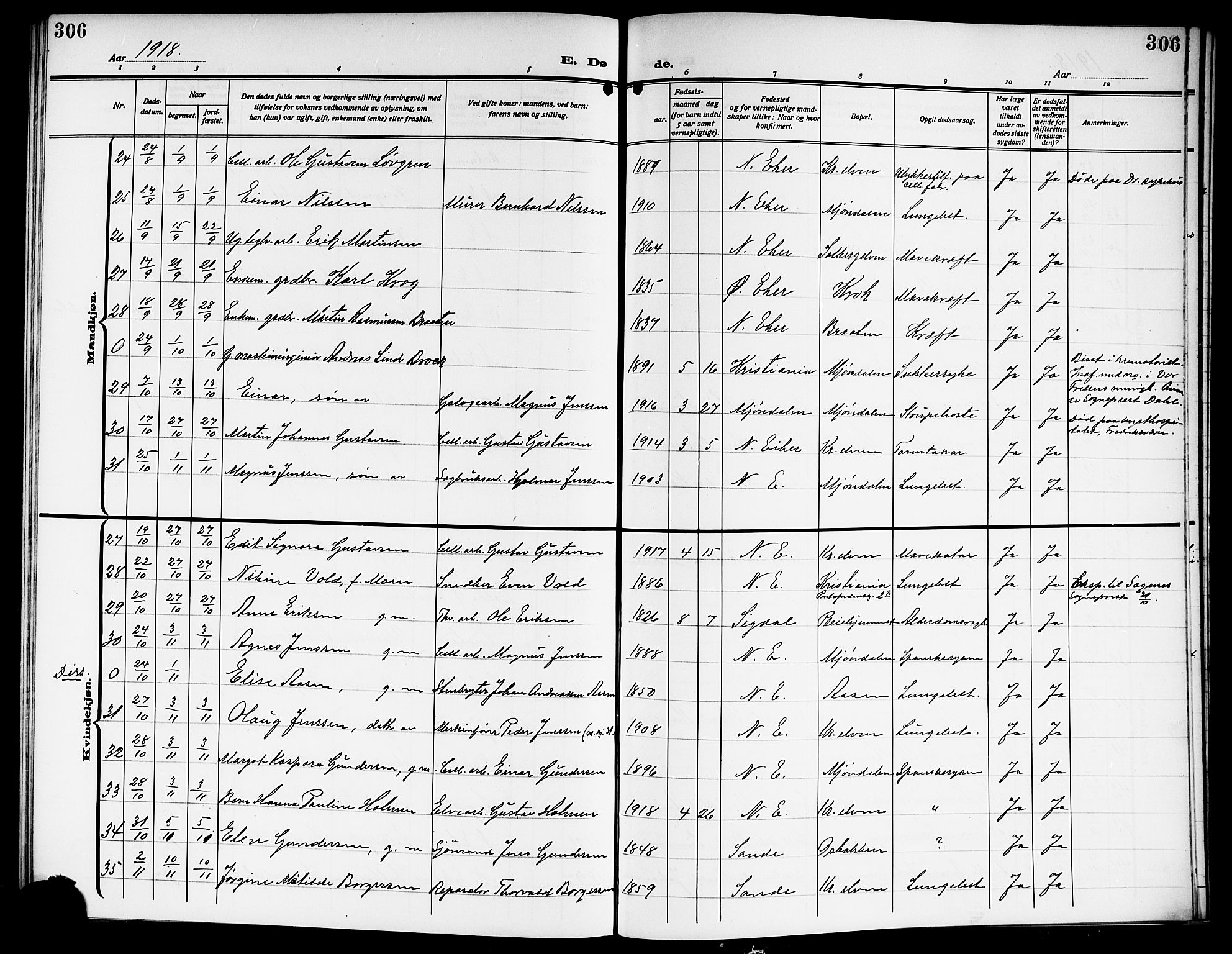Nedre Eiker kirkebøker, SAKO/A-612/G/Ga/L0005: Parish register (copy) no. 5, 1913-1921, p. 306