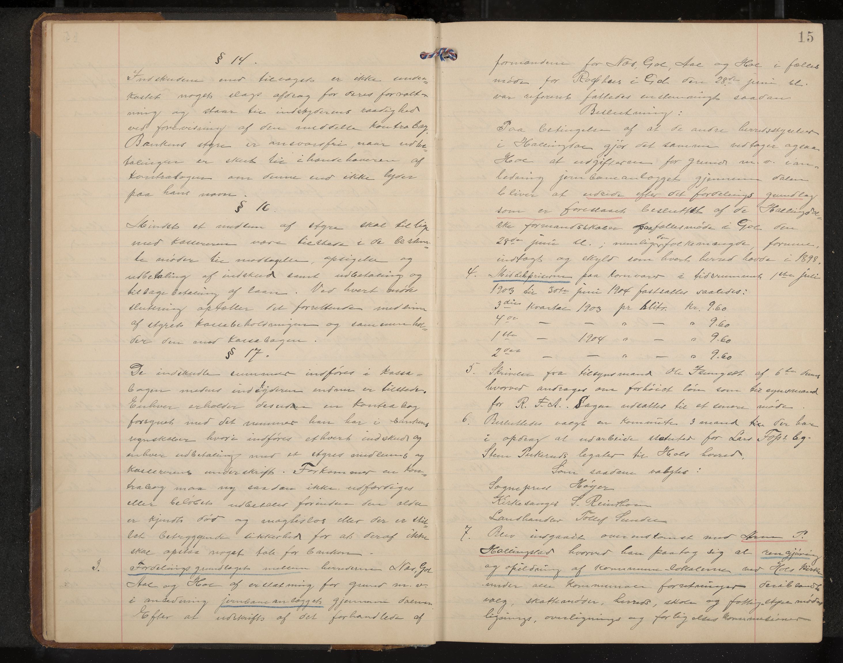 Hol formannskap og sentraladministrasjon, IKAK/0620021-1/A/L0004: Møtebok, 1904-1909, p. 15