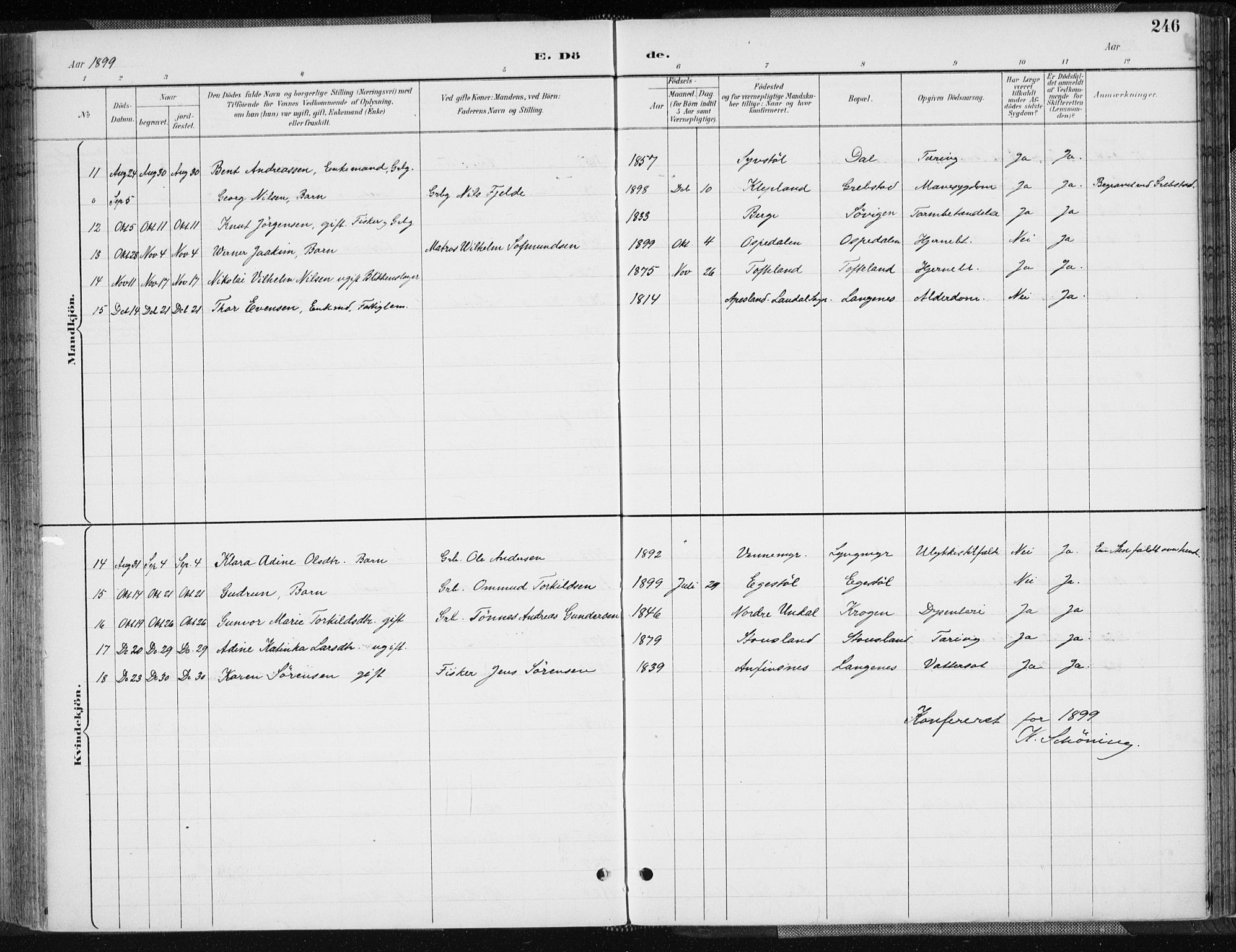 Søgne sokneprestkontor, SAK/1111-0037/F/Fa/Fab/L0013: Parish register (official) no. A 13, 1892-1911, p. 246