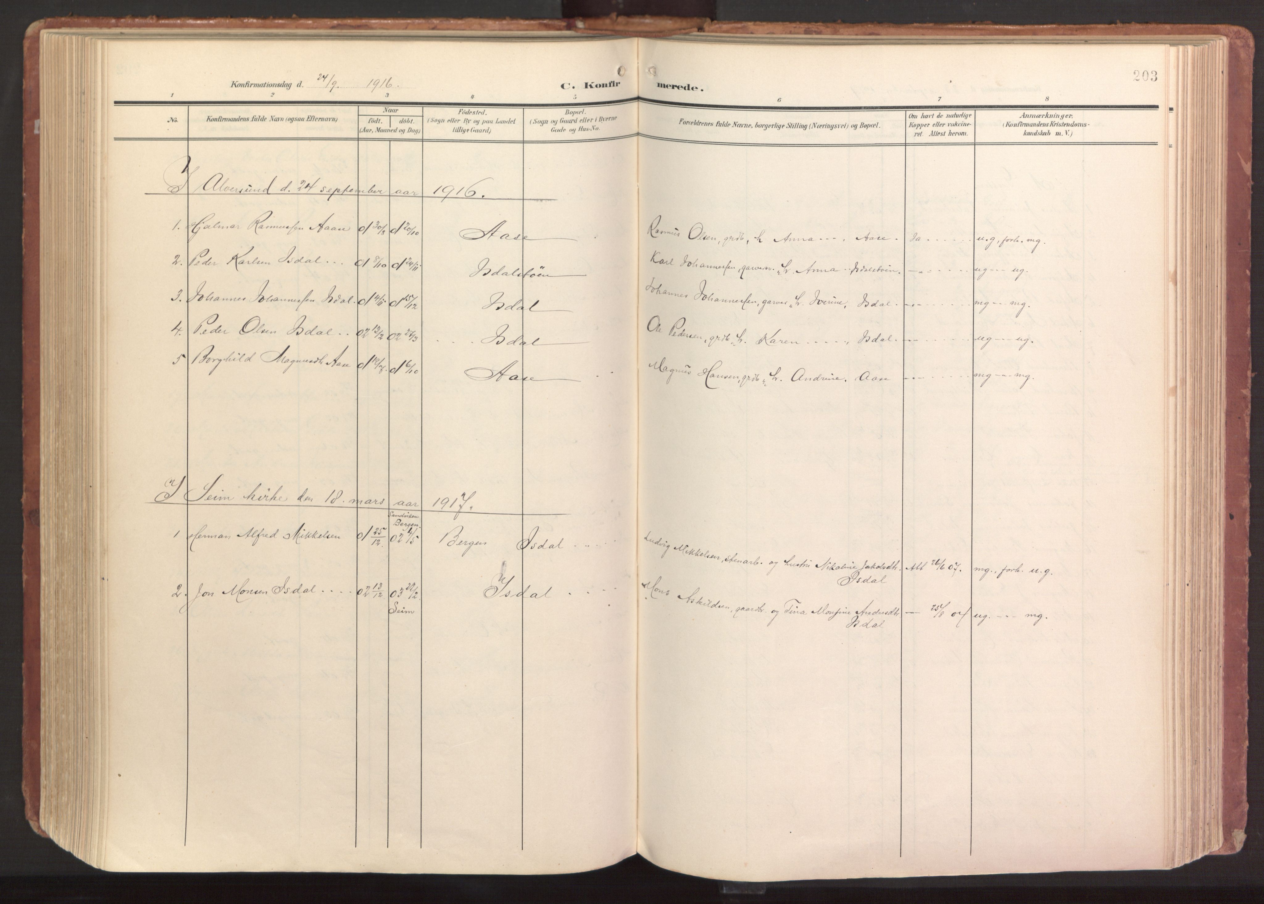 Hamre sokneprestembete, AV/SAB-A-75501/H/Ha/Haa/Haab/L0002: Parish register (official) no. B 2, 1905-1924, p. 203