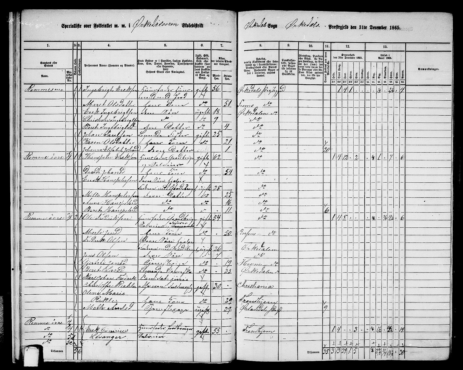 RA, 1865 census for Orkdal, 1865, p. 19