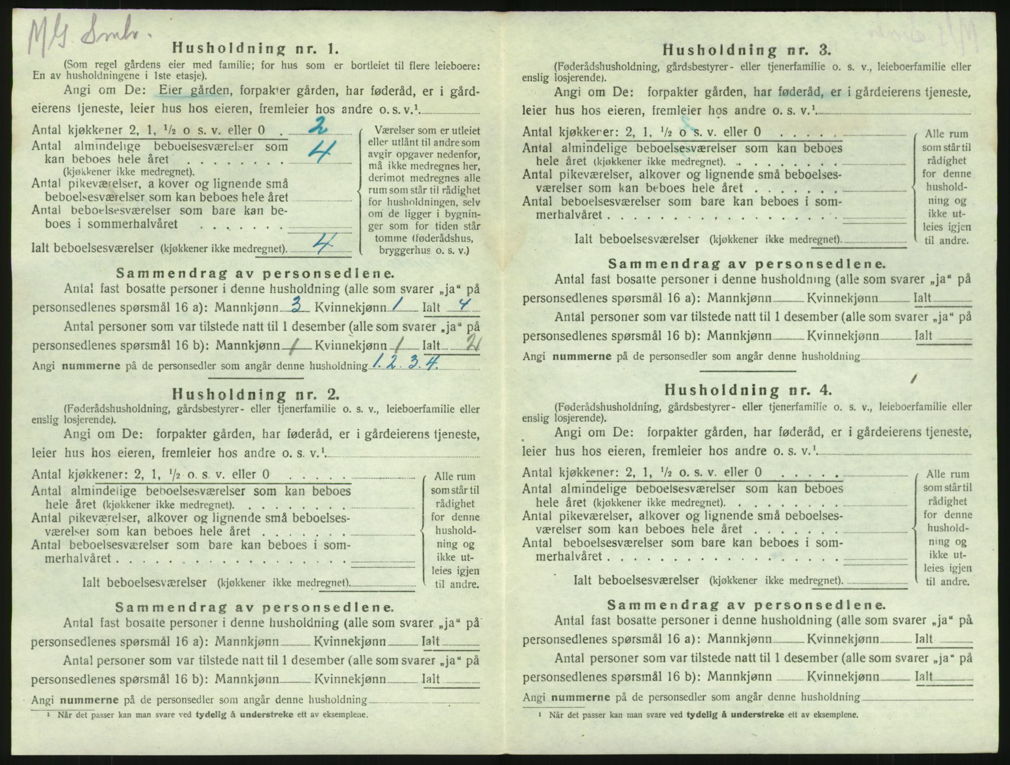SAKO, 1920 census for Brunlanes, 1920, p. 1734