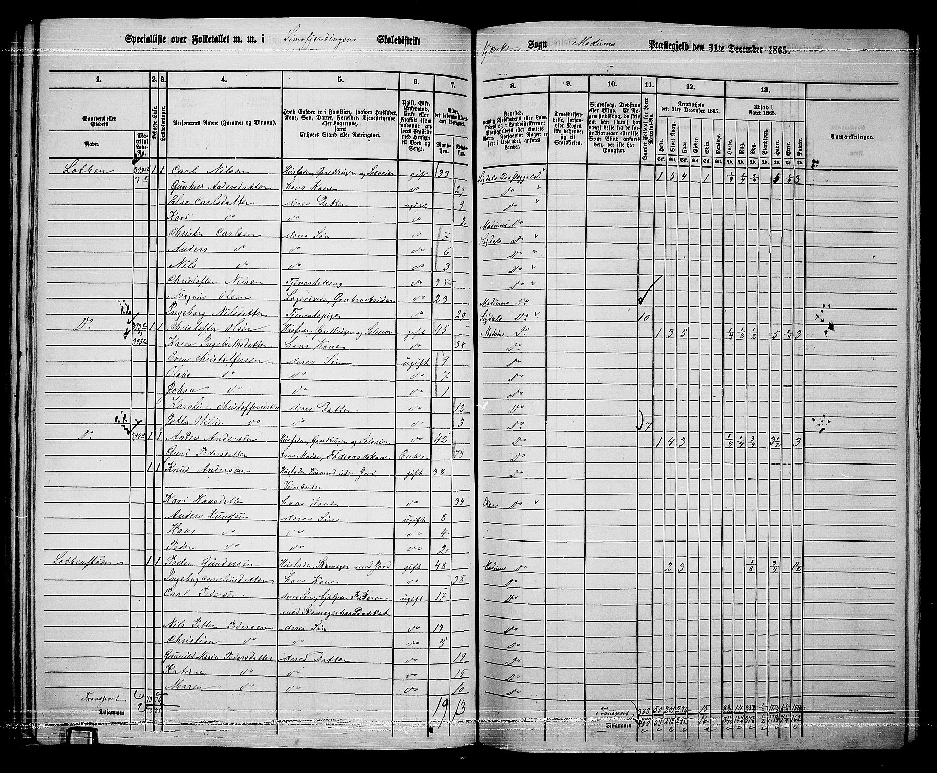 RA, 1865 census for Modum, 1865, p. 271