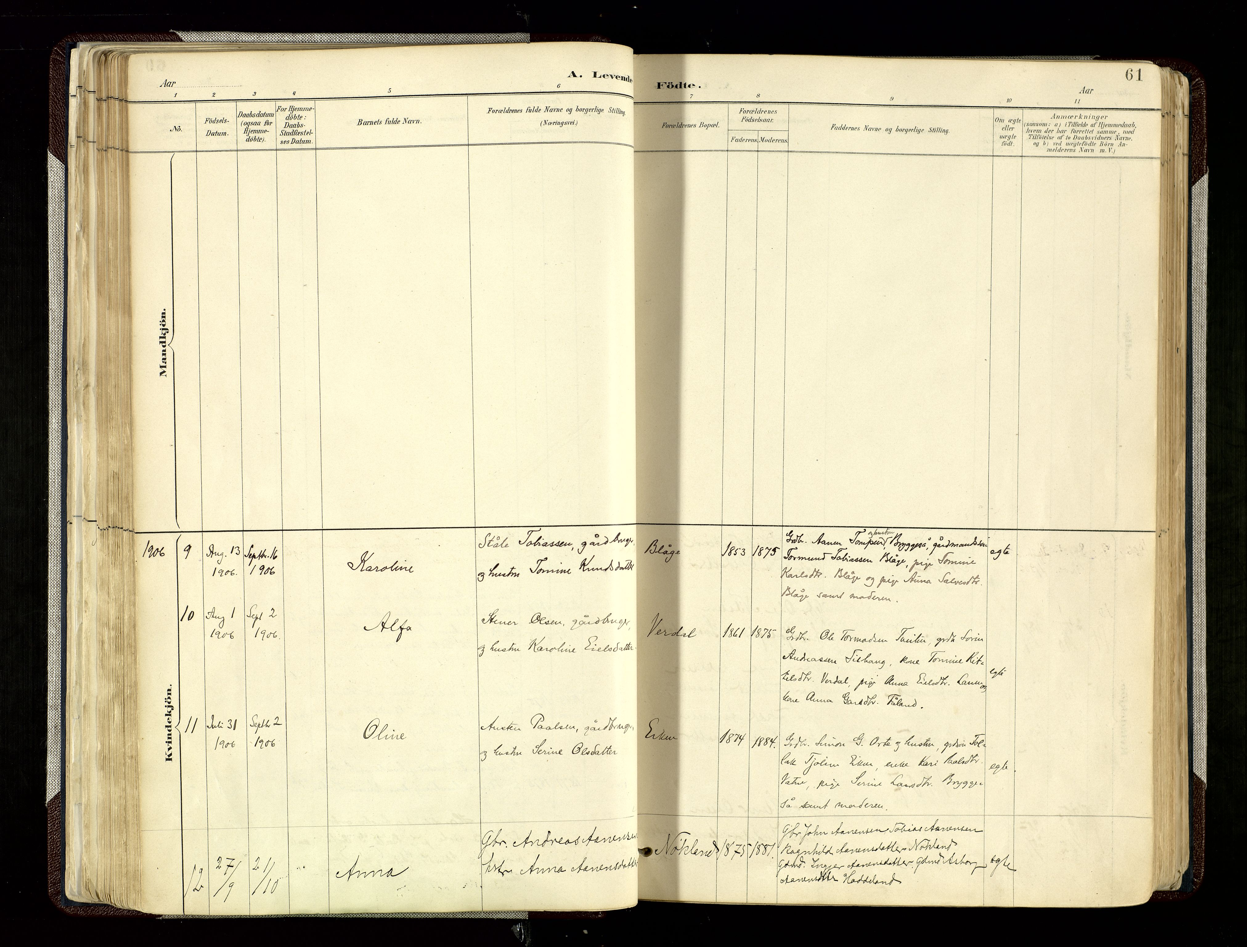 Hægebostad sokneprestkontor, SAK/1111-0024/F/Fa/Fab/L0004: Parish register (official) no. A 4, 1887-1929, p. 61