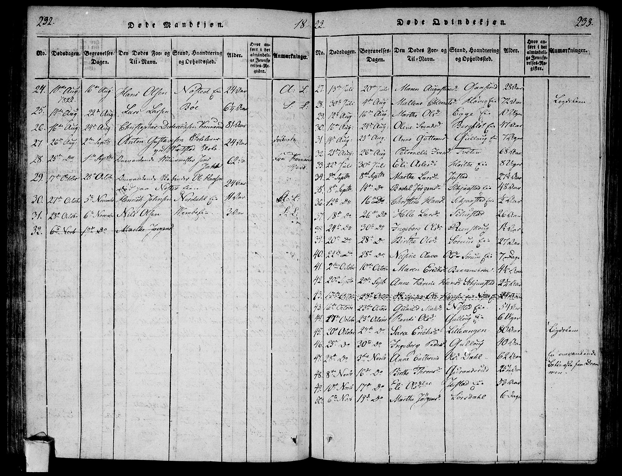 Lier kirkebøker, AV/SAKO-A-230/F/Fa/L0008: Parish register (official) no. I 8, 1813-1825, p. 232-233