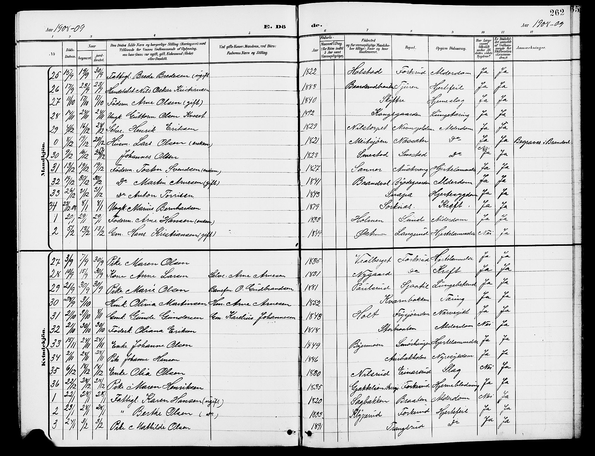 Grue prestekontor, SAH/PREST-036/H/Ha/Hab/L0005: Parish register (copy) no. 5, 1900-1909, p. 262