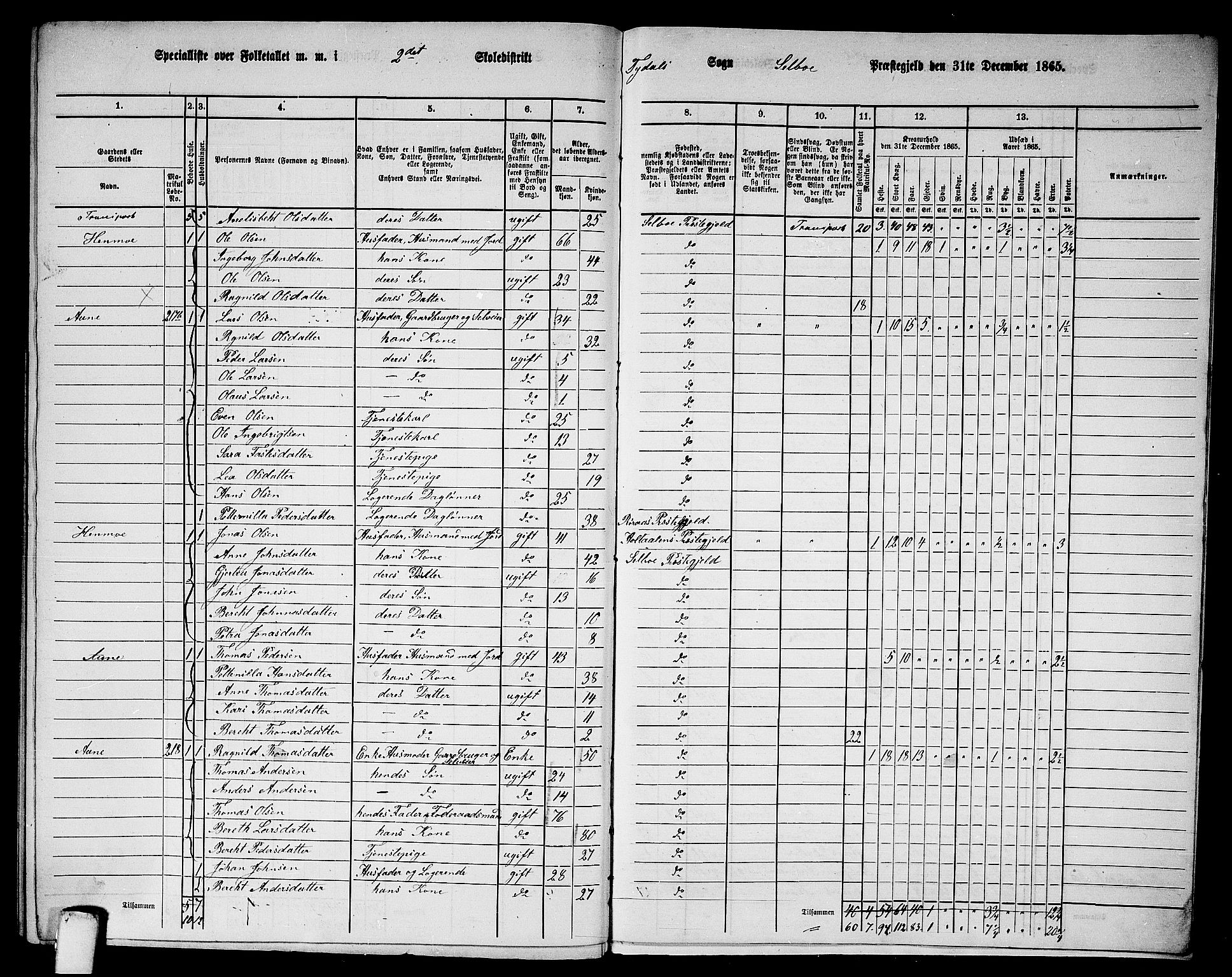 RA, 1865 census for Selbu, 1865, p. 246