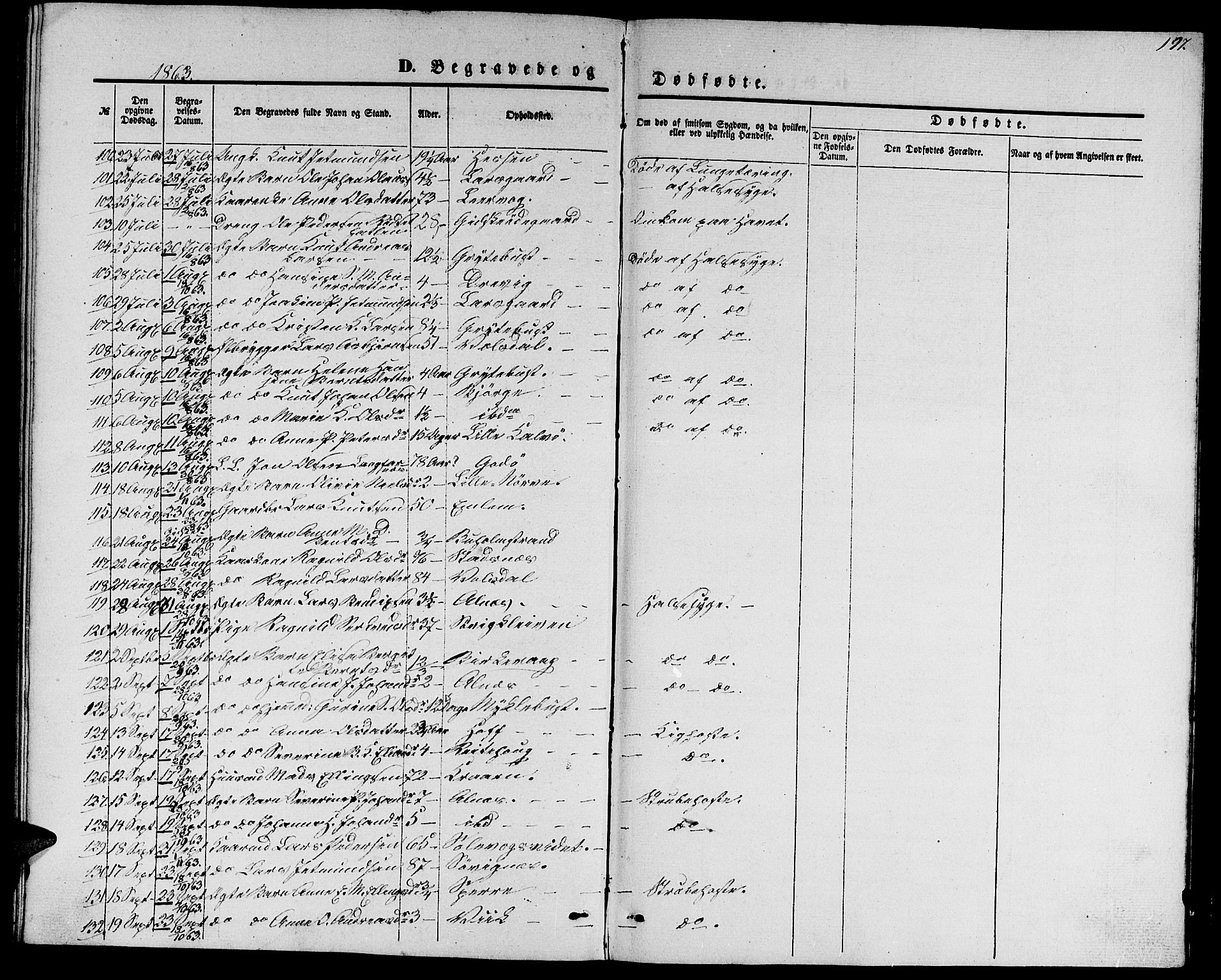 Ministerialprotokoller, klokkerbøker og fødselsregistre - Møre og Romsdal, AV/SAT-A-1454/528/L0427: Parish register (copy) no. 528C08, 1855-1864, p. 197