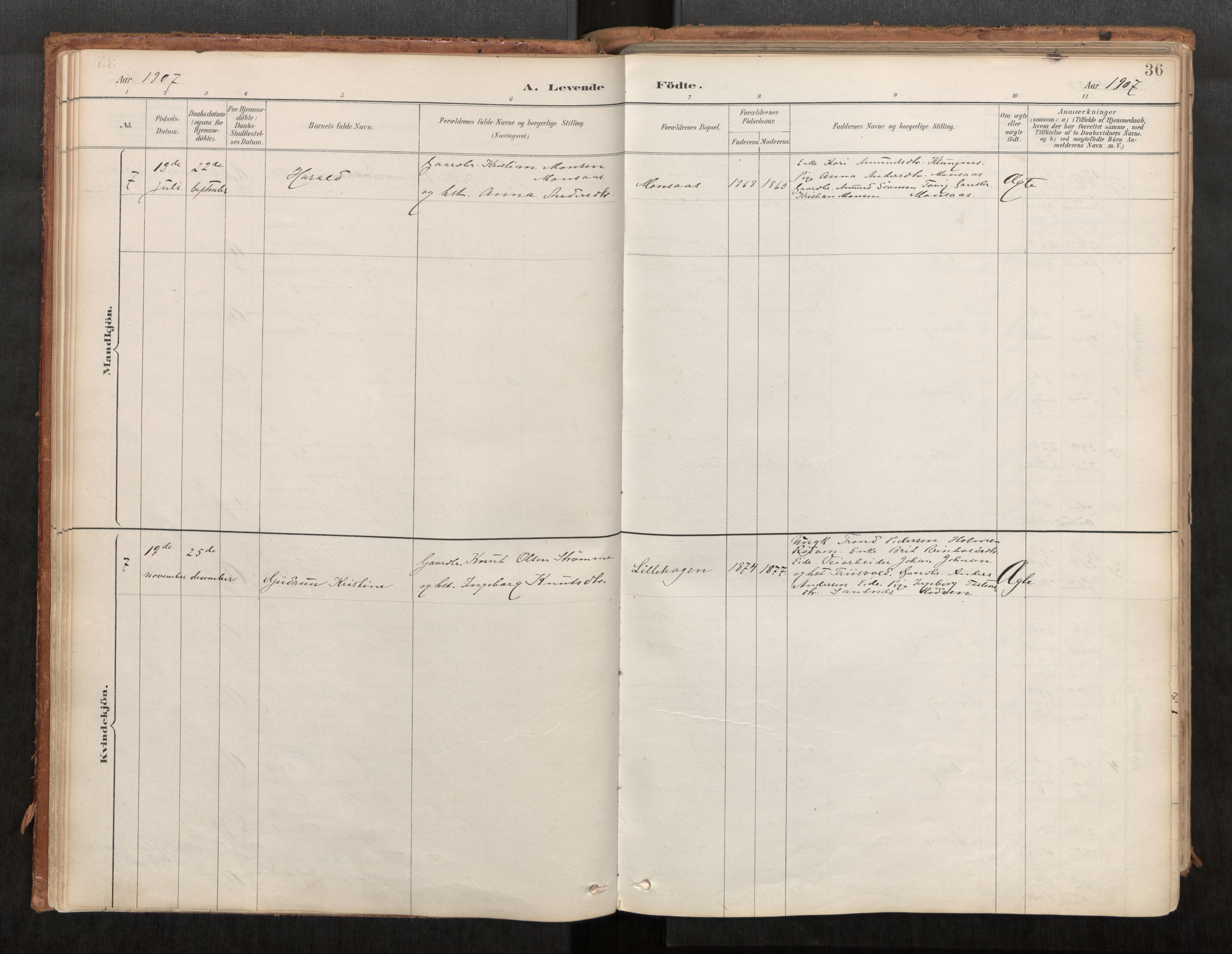 Ministerialprotokoller, klokkerbøker og fødselsregistre - Møre og Romsdal, AV/SAT-A-1454/542/L0553: Parish register (official) no. 542A03, 1885-1925, p. 36