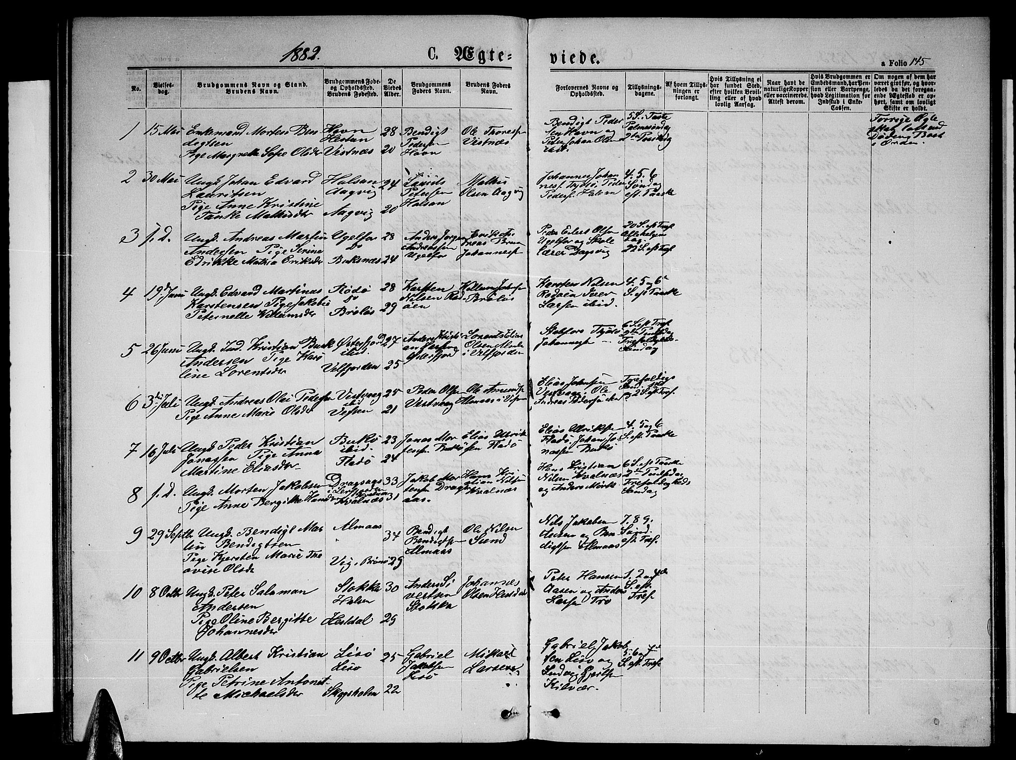 Ministerialprotokoller, klokkerbøker og fødselsregistre - Nordland, AV/SAT-A-1459/817/L0267: Parish register (copy) no. 817C02, 1870-1883, p. 145