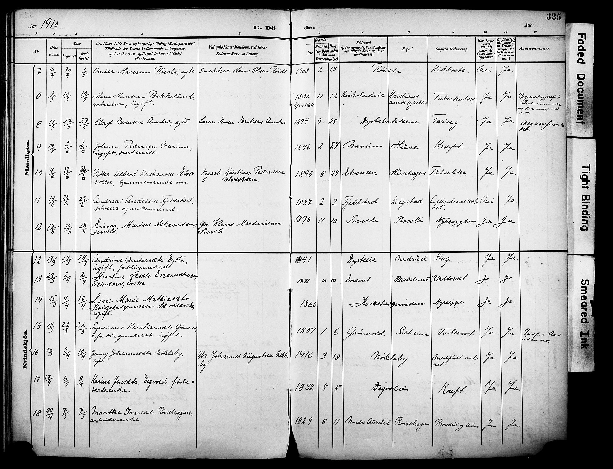 Vestre Toten prestekontor, AV/SAH-PREST-108/H/Ha/Haa/L0013: Parish register (official) no. 13, 1895-1911, p. 325