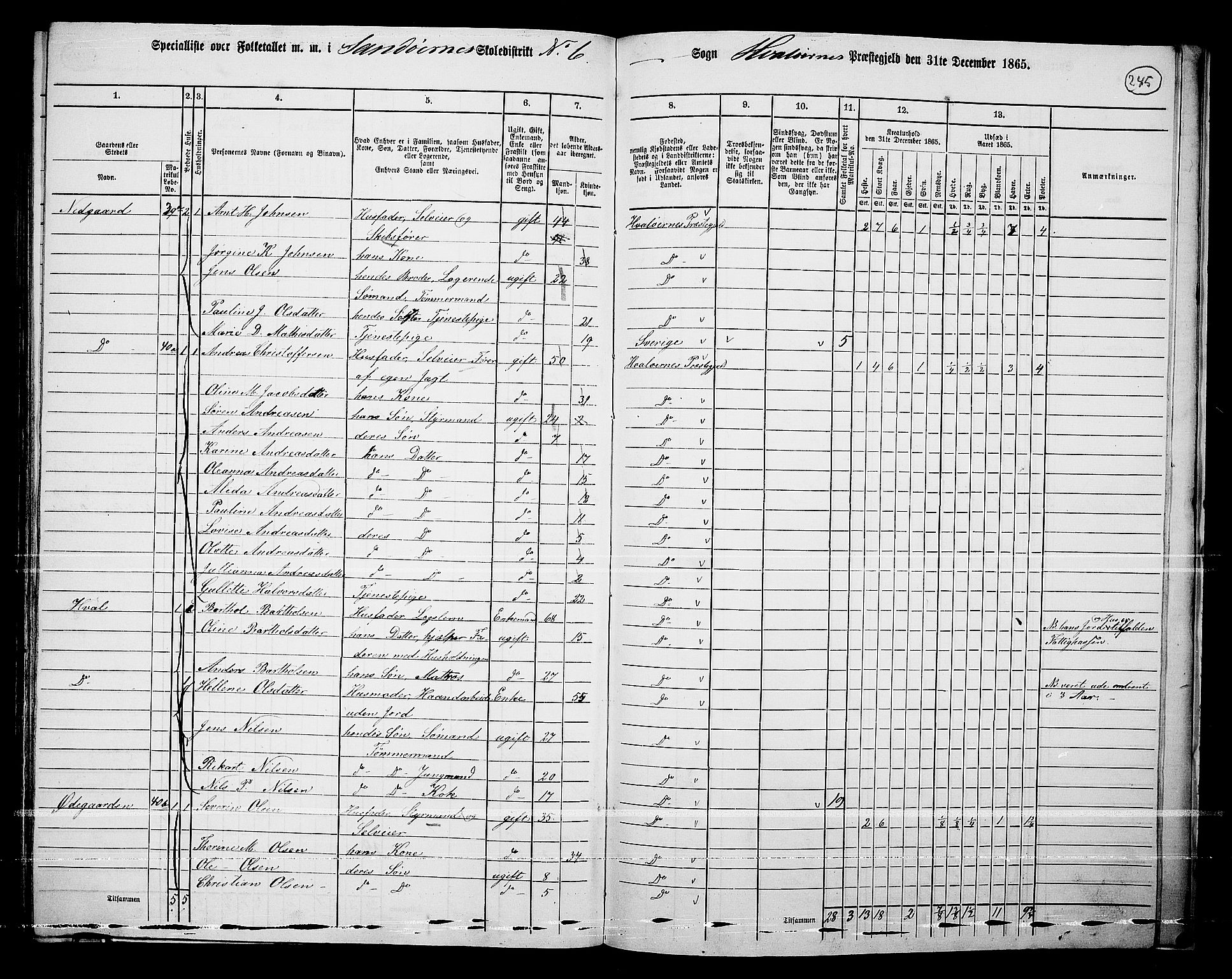 RA, 1865 census for Hvaler, 1865, p. 79