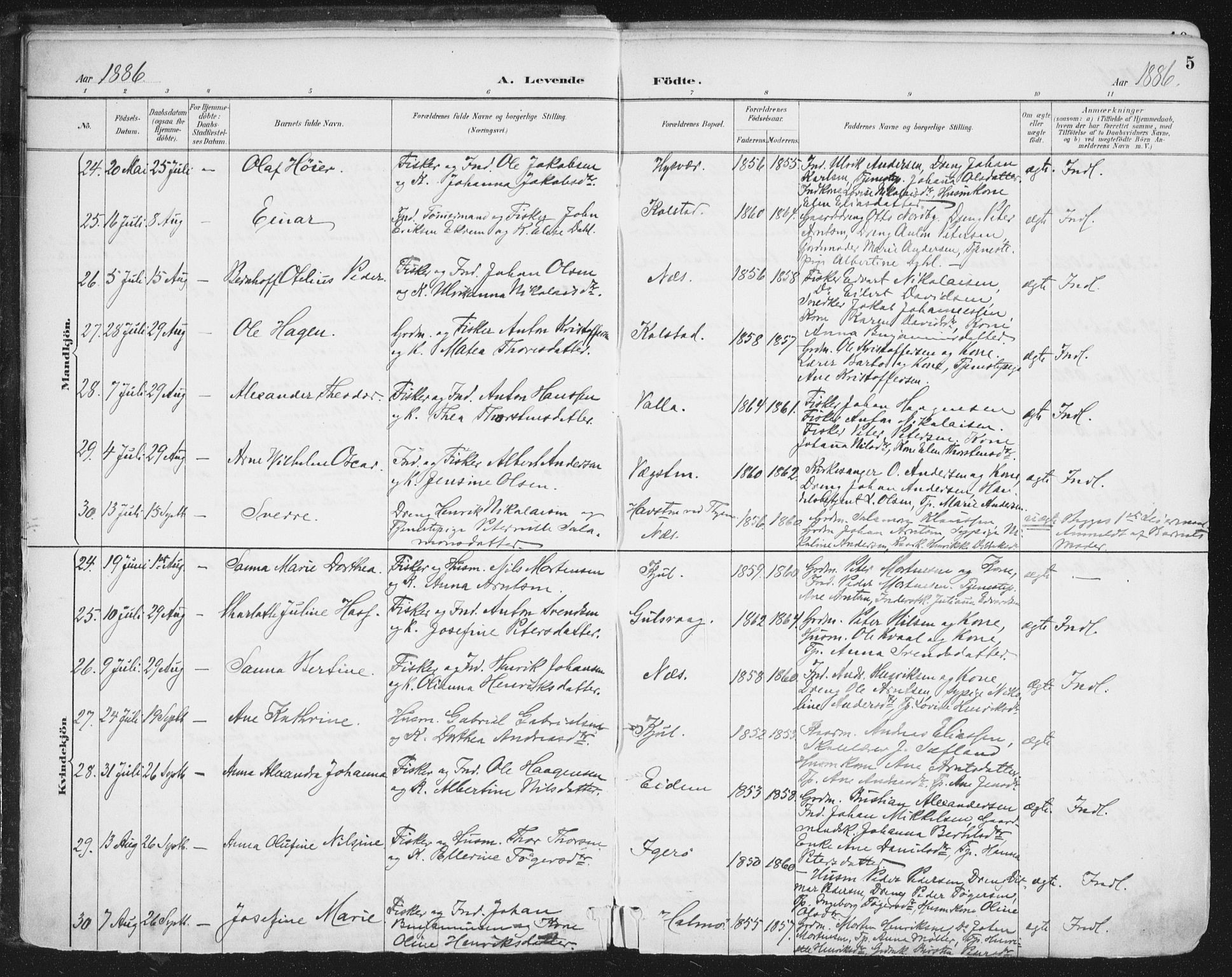 Ministerialprotokoller, klokkerbøker og fødselsregistre - Nordland, AV/SAT-A-1459/816/L0244: Parish register (official) no. 816A10, 1886-1903, p. 5