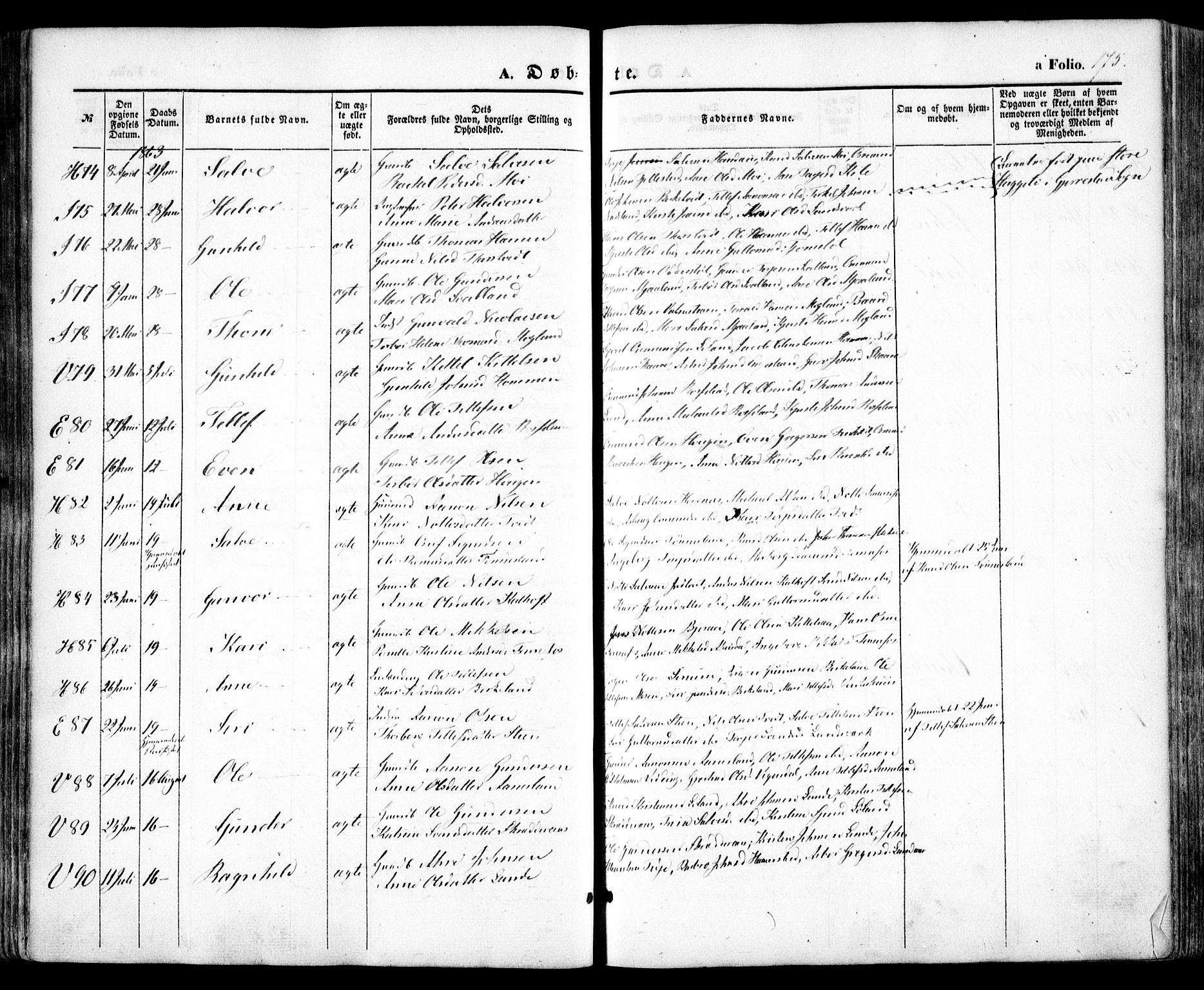 Evje sokneprestkontor, AV/SAK-1111-0008/F/Fa/Faa/L0005: Parish register (official) no. A 5, 1843-1865, p. 175