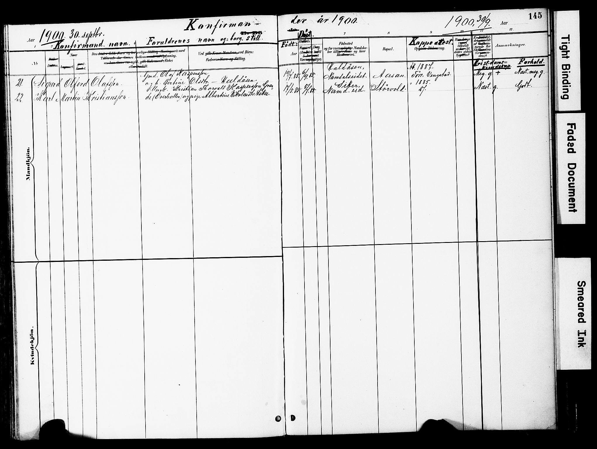 Ministerialprotokoller, klokkerbøker og fødselsregistre - Nord-Trøndelag, AV/SAT-A-1458/741/L0396: Parish register (official) no. 741A10, 1889-1901, p. 145