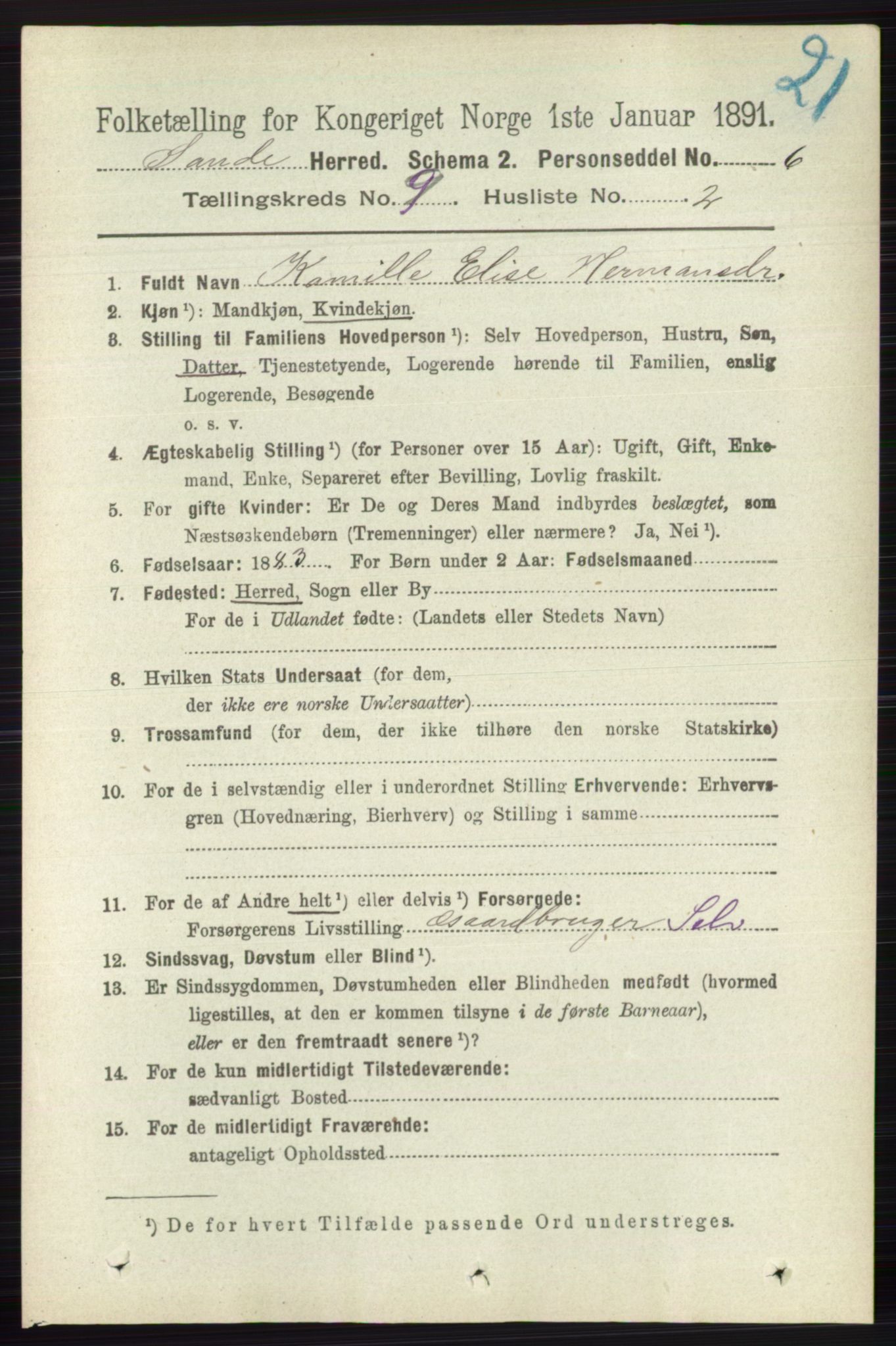 RA, 1891 census for 0713 Sande, 1891, p. 3943