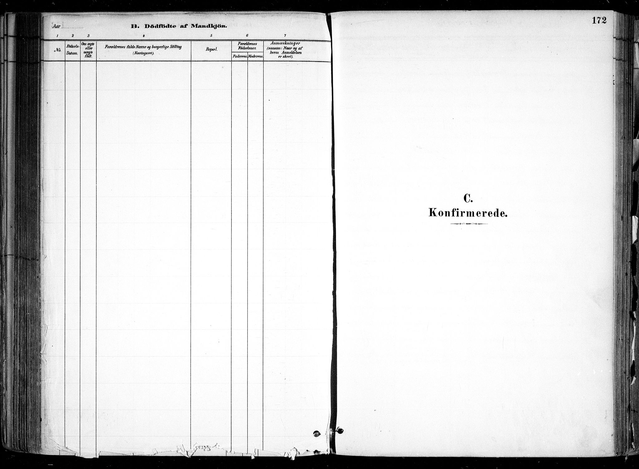 Nesodden prestekontor Kirkebøker, SAO/A-10013/F/Fa/L0009: Parish register (official) no. I 9, 1880-1915, p. 172