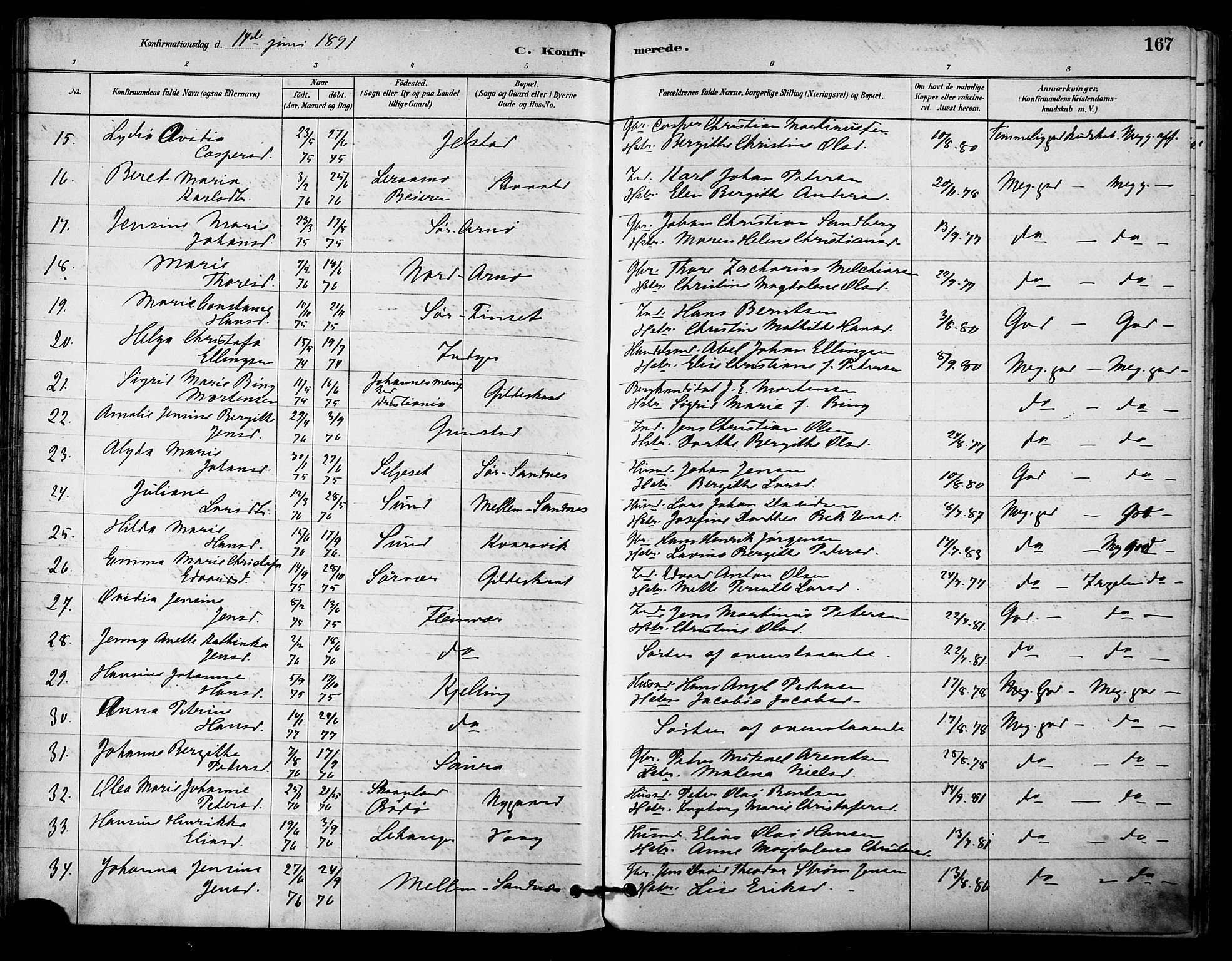 Ministerialprotokoller, klokkerbøker og fødselsregistre - Nordland, AV/SAT-A-1459/805/L0099: Parish register (official) no. 805A06, 1880-1891, p. 167