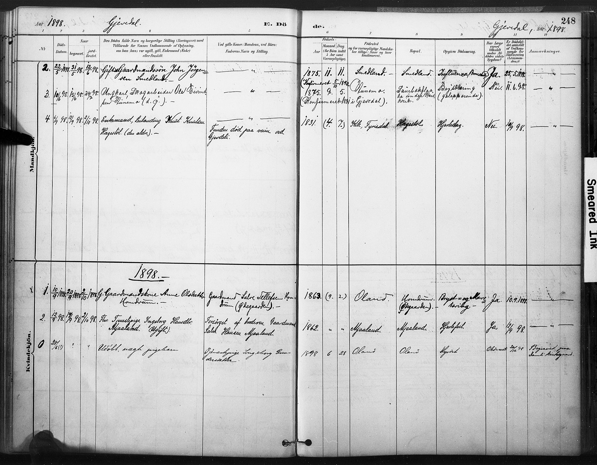 Åmli sokneprestkontor, SAK/1111-0050/F/Fa/Fac/L0010: Parish register (official) no. A 10 /2, 1885-1899, p. 248
