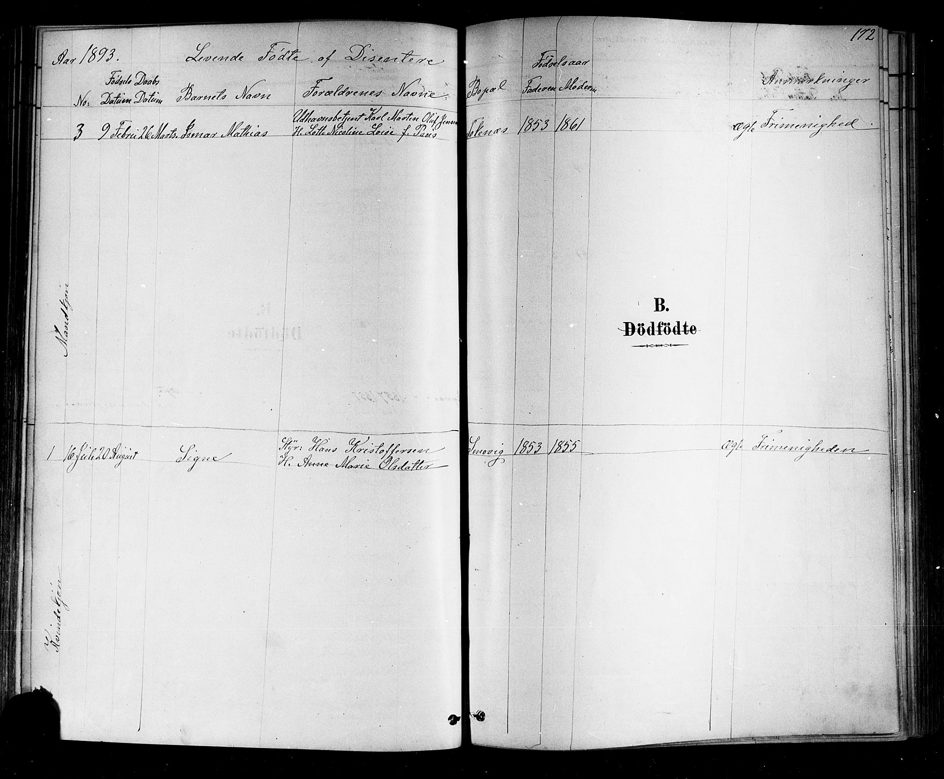 Nøtterøy kirkebøker, AV/SAKO-A-354/F/Fa/L0008: Parish register (official) no. I 8, 1878-1893, p. 172