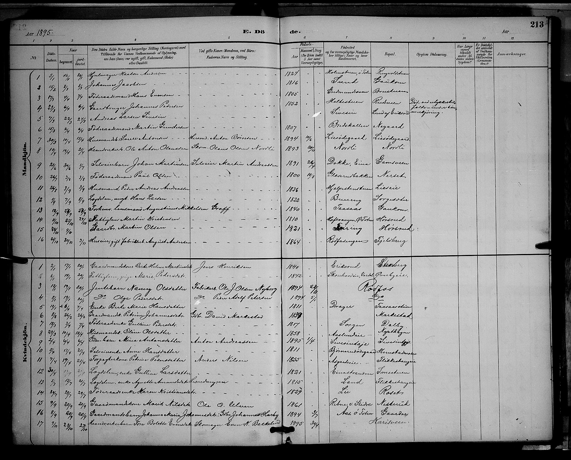 Vestre Toten prestekontor, SAH/PREST-108/H/Ha/Hab/L0009: Parish register (copy) no. 9, 1888-1900, p. 213