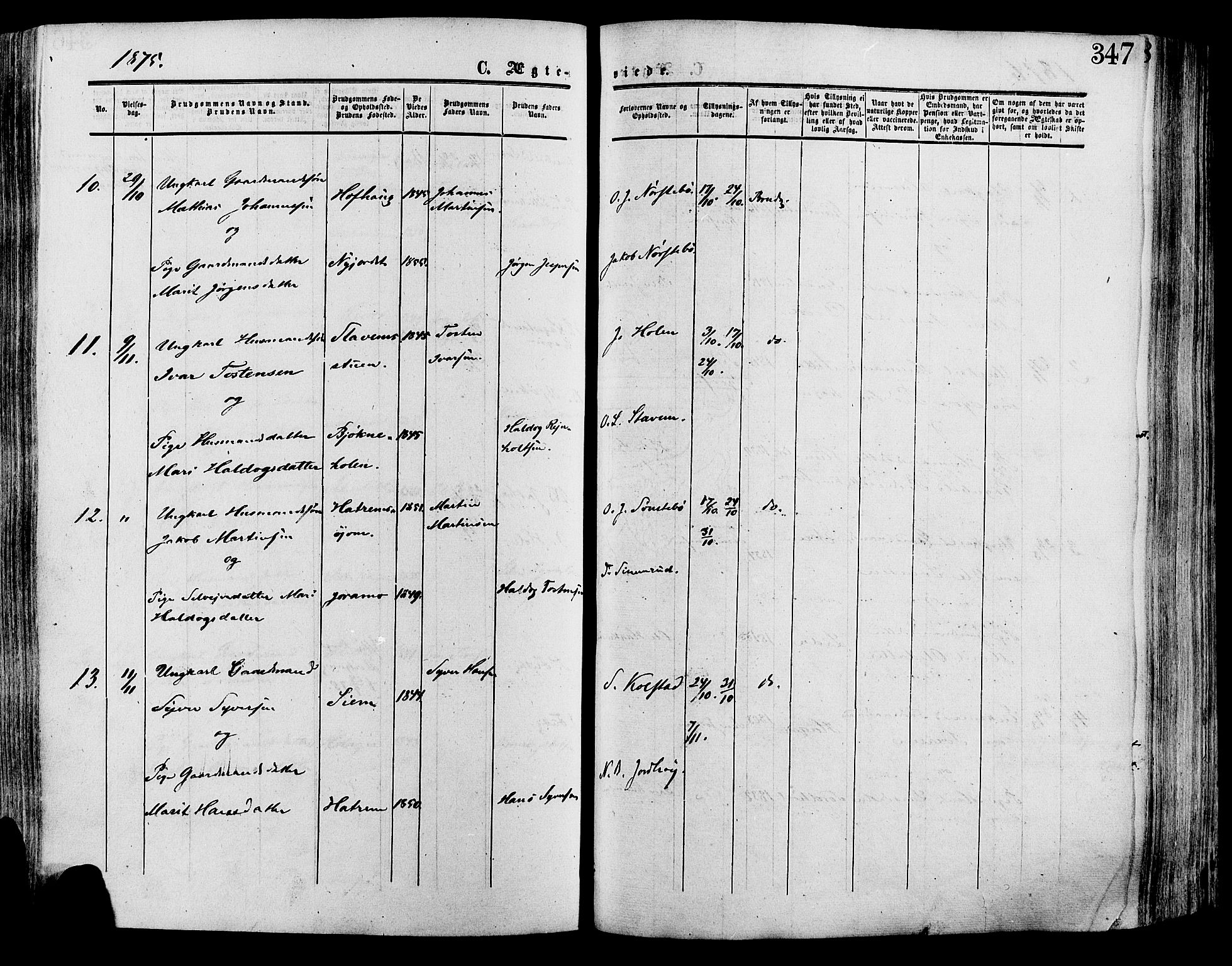 Lesja prestekontor, SAH/PREST-068/H/Ha/Haa/L0008: Parish register (official) no. 8, 1854-1880, p. 347