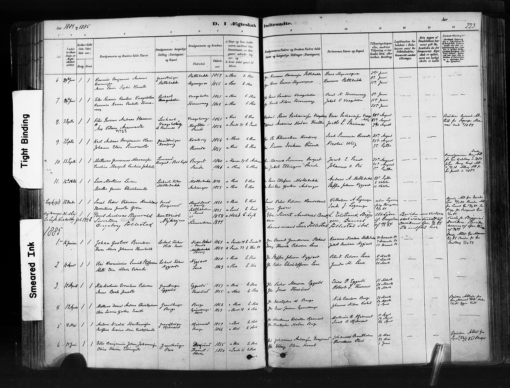 Ministerialprotokoller, klokkerbøker og fødselsregistre - Møre og Romsdal, SAT/A-1454/507/L0073: Parish register (official) no. 507A08, 1878-1904, p. 223