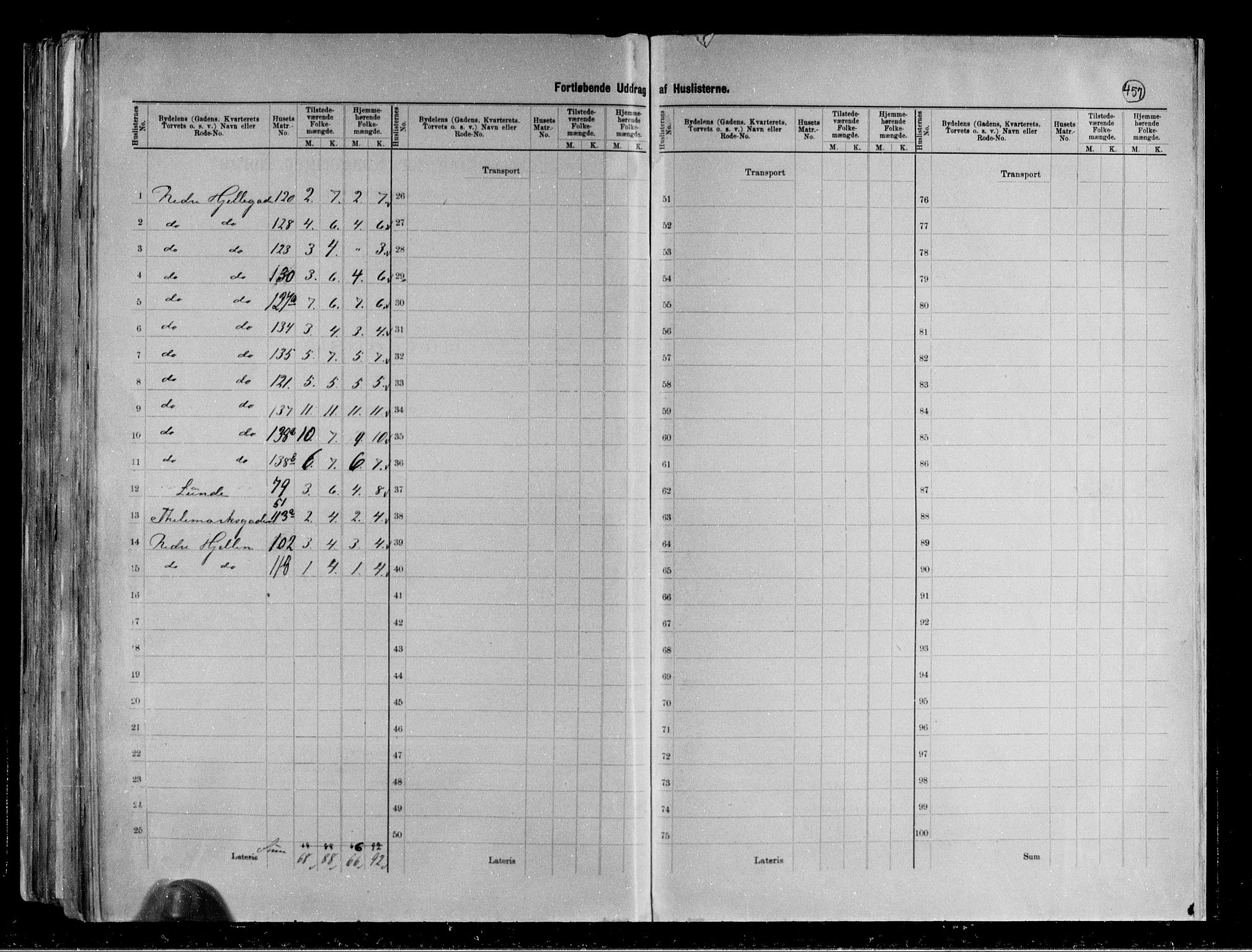 RA, 1891 census for 0806 Skien, 1891, p. 96
