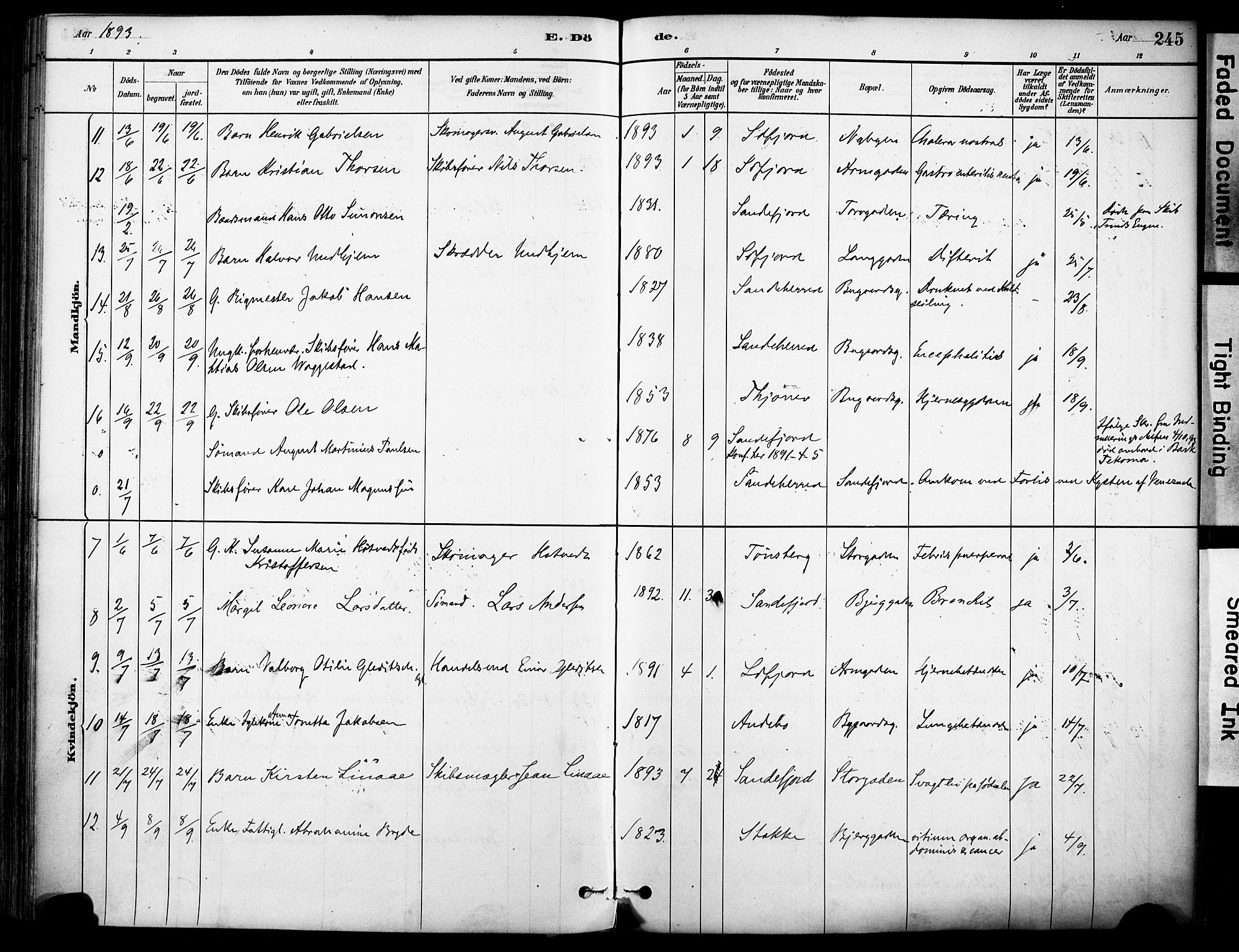 Sandefjord kirkebøker, AV/SAKO-A-315/F/Fa/L0002: Parish register (official) no. 2, 1880-1894, p. 245