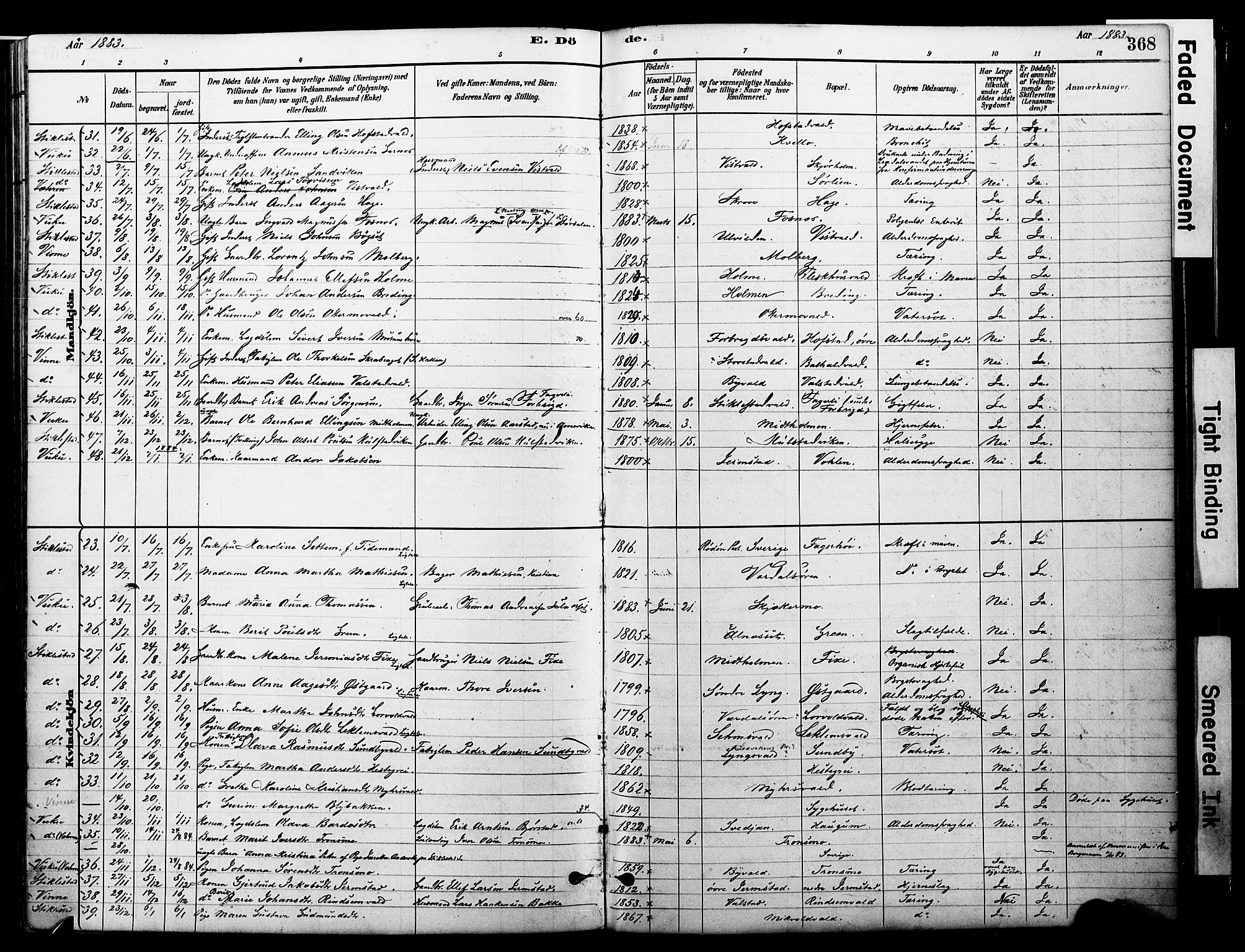 Ministerialprotokoller, klokkerbøker og fødselsregistre - Nord-Trøndelag, SAT/A-1458/723/L0244: Parish register (official) no. 723A13, 1881-1899, p. 368