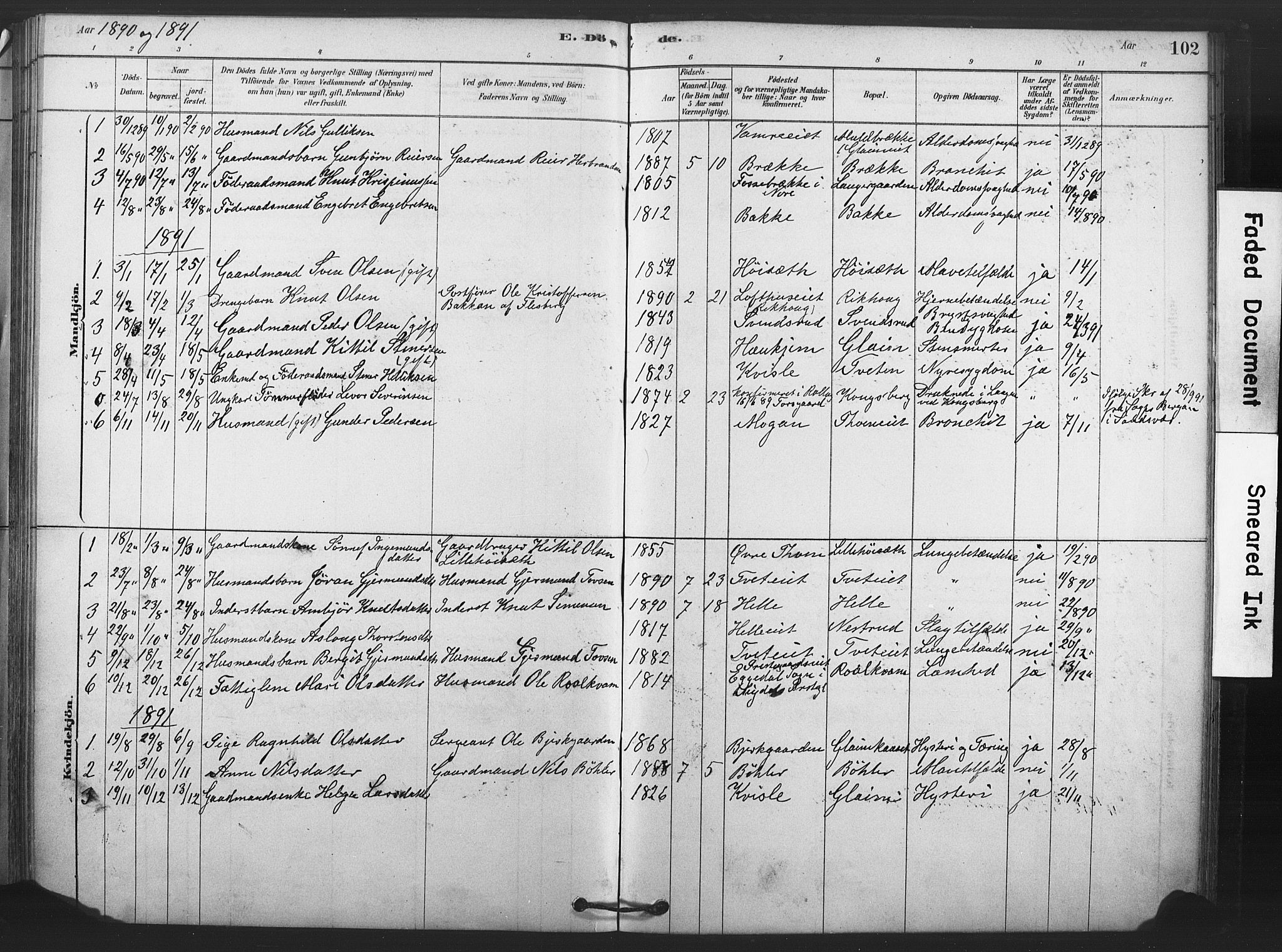 Rollag kirkebøker, AV/SAKO-A-240/F/Fb/L0001: Parish register (official) no. II 1, 1878-1899, p. 102