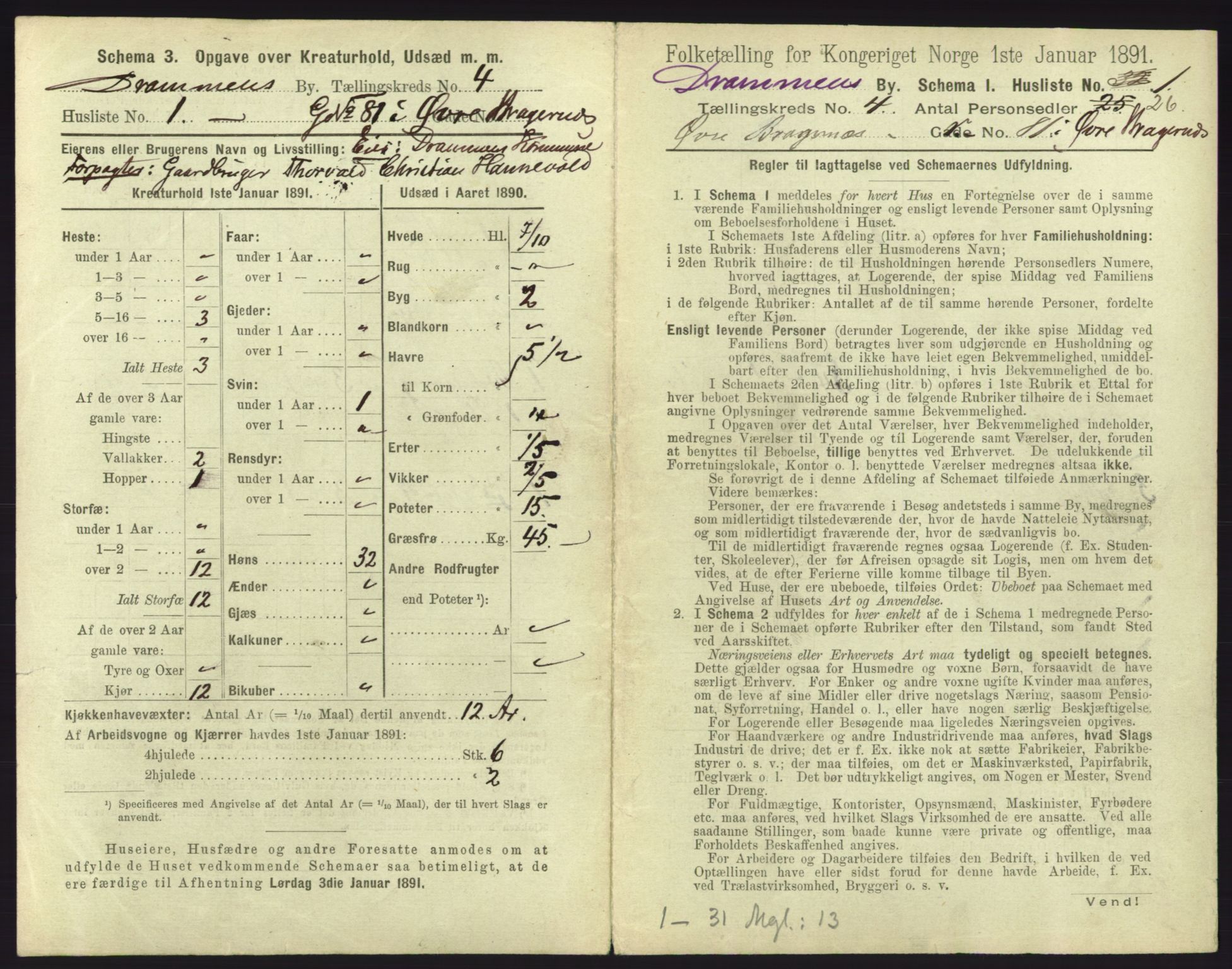 RA, 1891 census for 0602 Drammen, 1891, p. 369