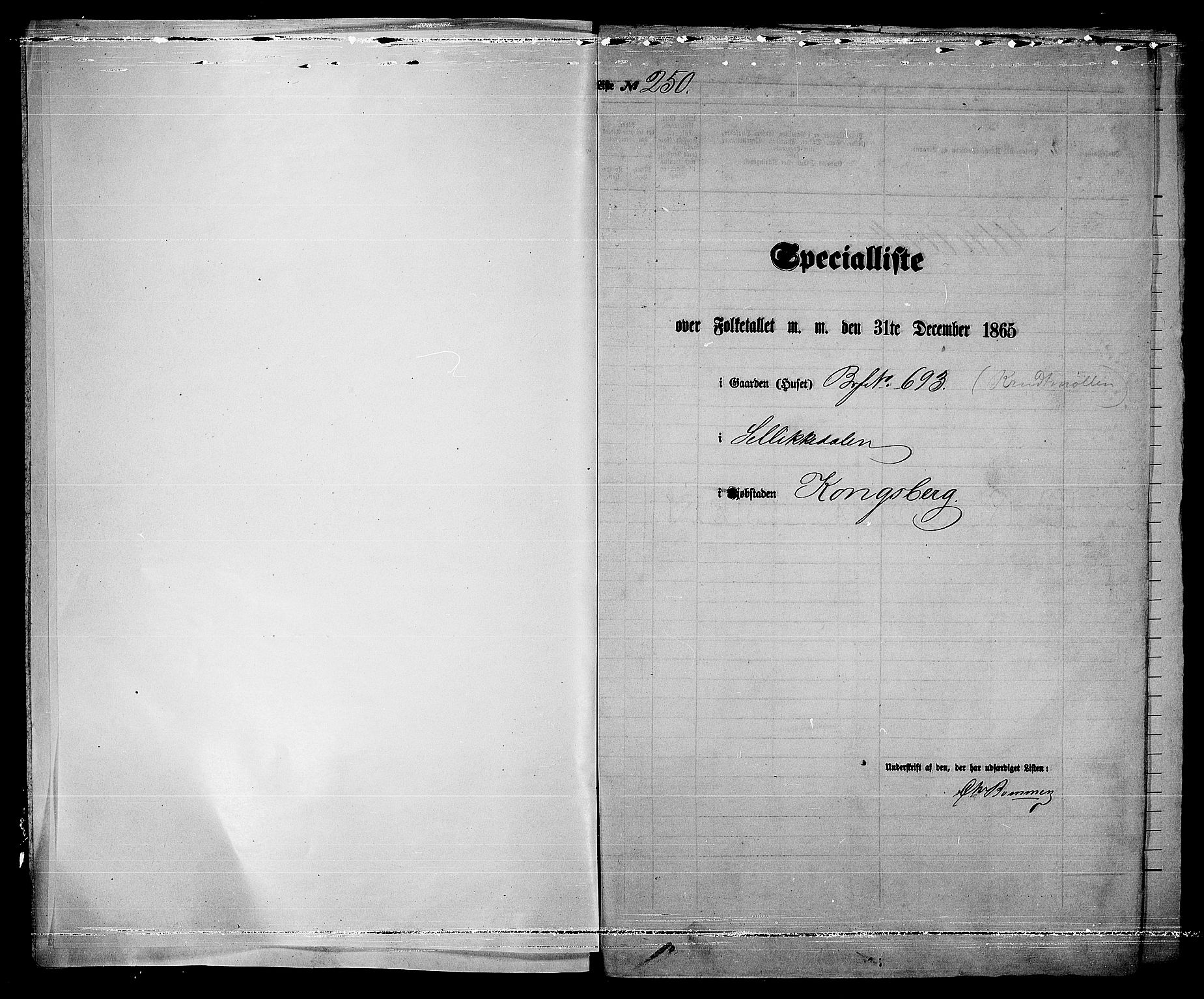 RA, 1865 census for Kongsberg/Kongsberg, 1865, p. 516