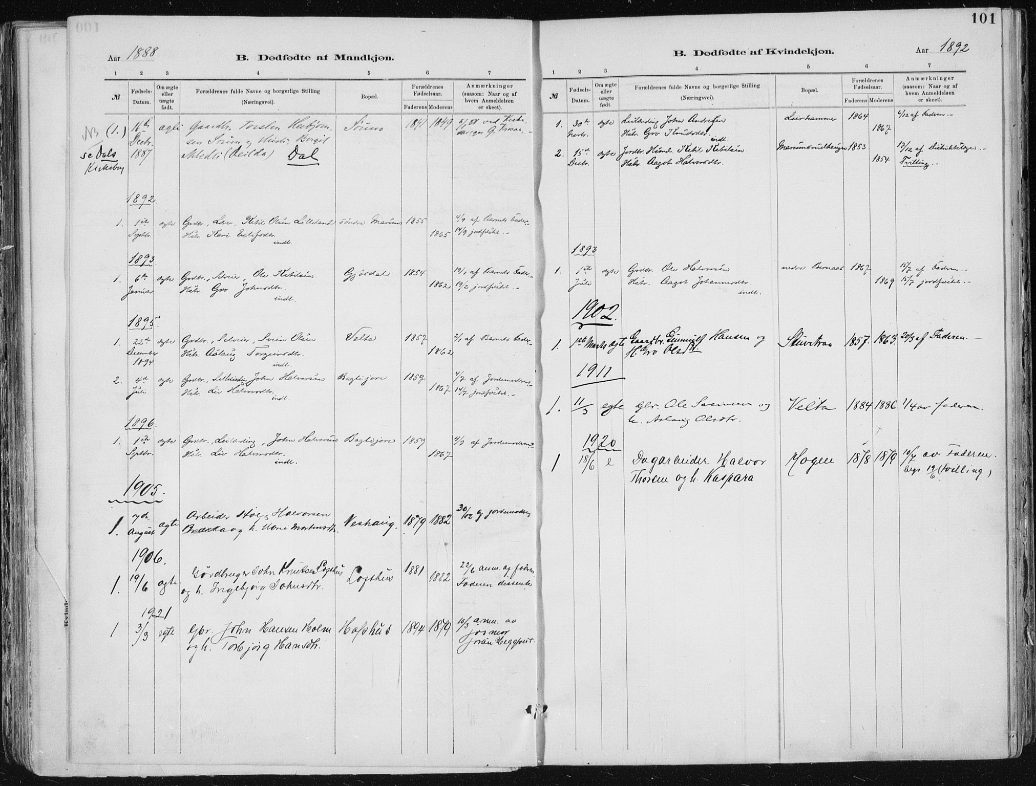 Tinn kirkebøker, AV/SAKO-A-308/F/Fa/L0007: Parish register (official) no. I 7, 1878-1922, p. 101