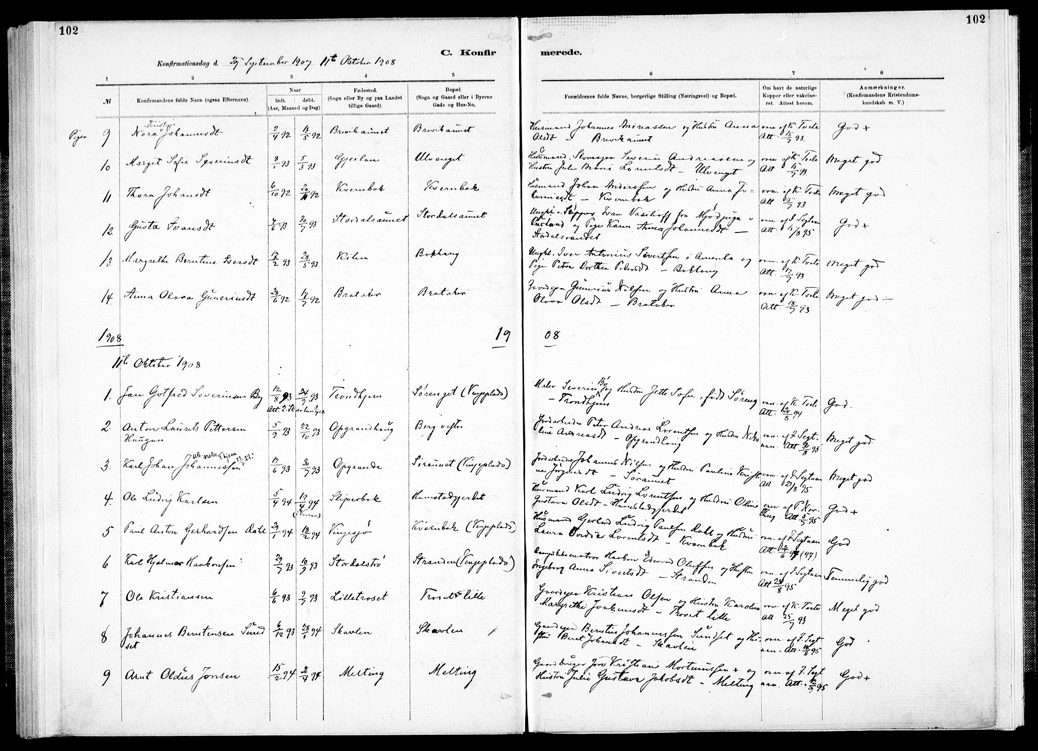 Ministerialprotokoller, klokkerbøker og fødselsregistre - Nord-Trøndelag, SAT/A-1458/733/L0325: Parish register (official) no. 733A04, 1884-1908, p. 102
