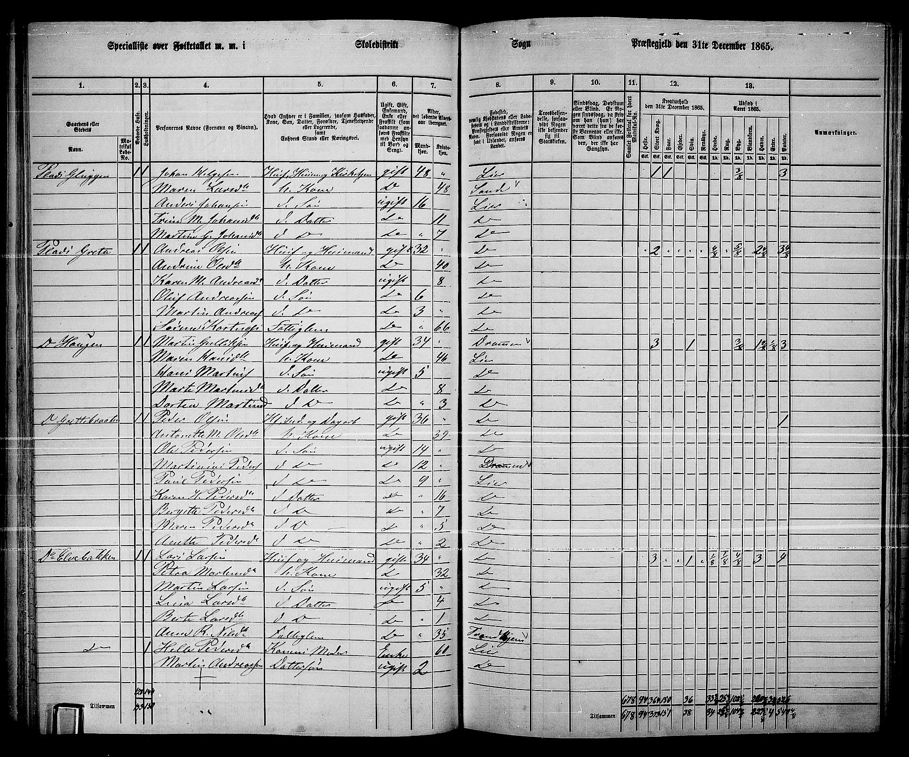 RA, 1865 census for Lier, 1865, p. 64