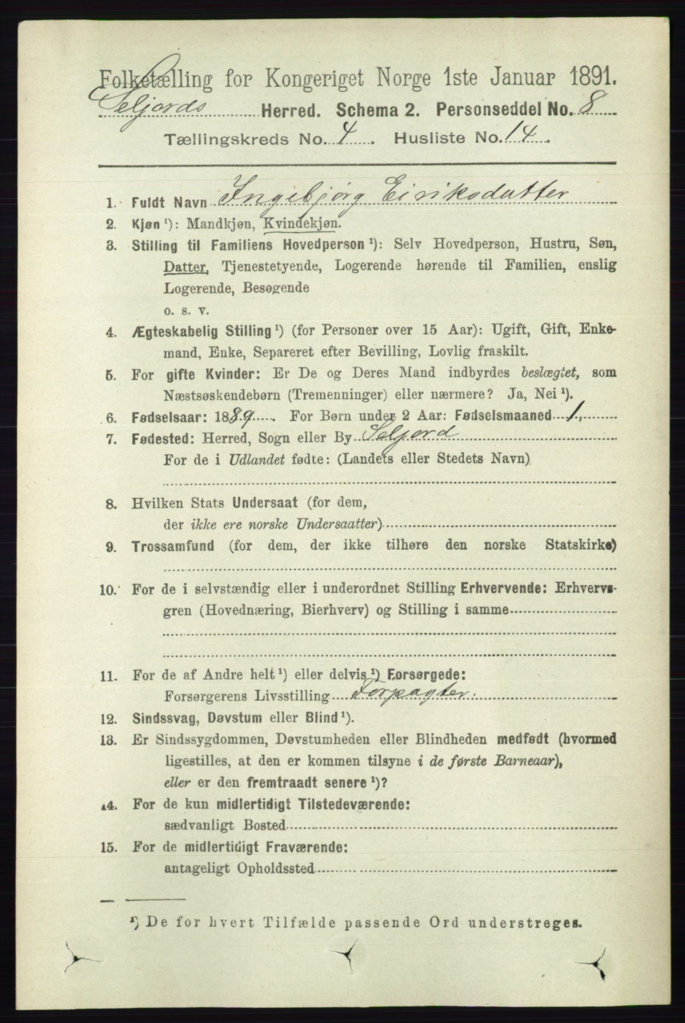 RA, 1891 census for 0828 Seljord, 1891, p. 1366