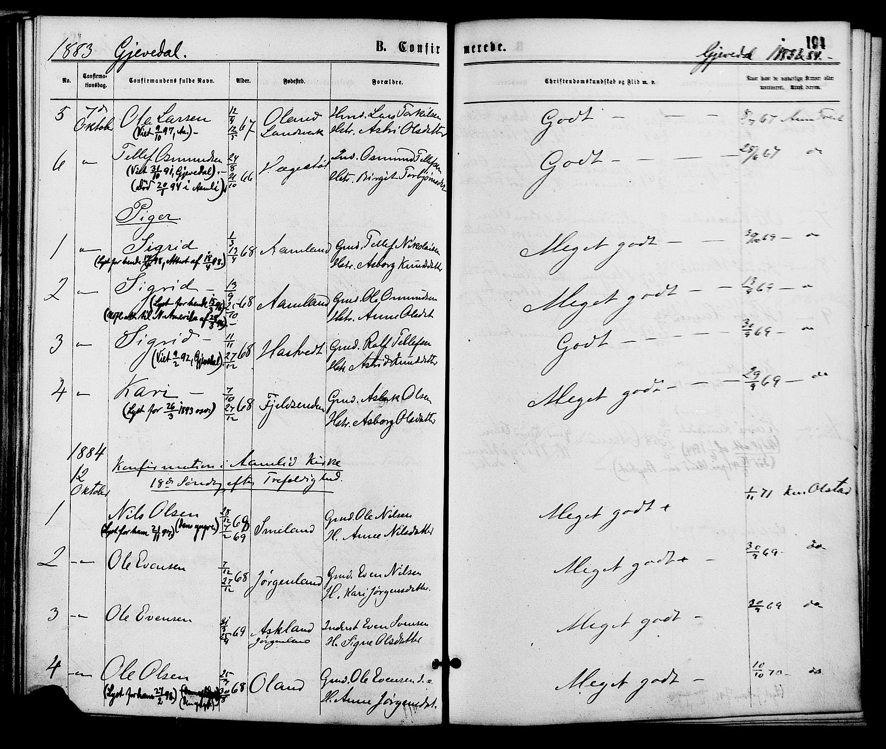 Åmli sokneprestkontor, AV/SAK-1111-0050/F/Fa/Fac/L0009: Parish register (official) no. A 9 /2, 1869-1884, p. 194