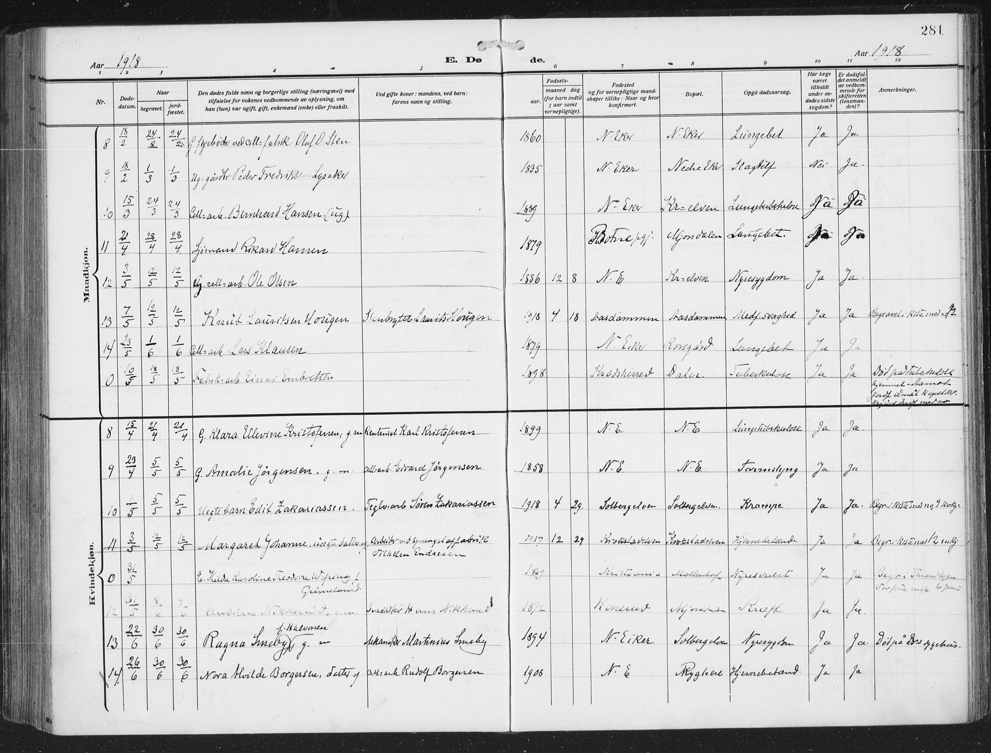 Nedre Eiker kirkebøker, AV/SAKO-A-612/F/Fa/L0007: Parish register (official) no. 7, 1912-1918, p. 281