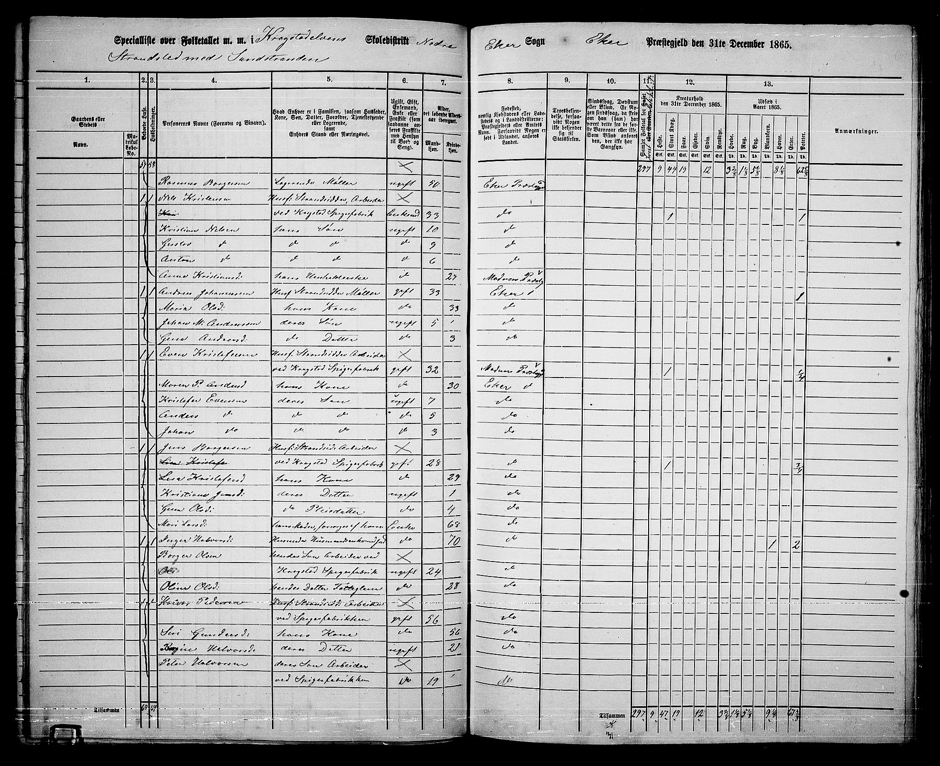 RA, 1865 census for Eiker, 1865, p. 377