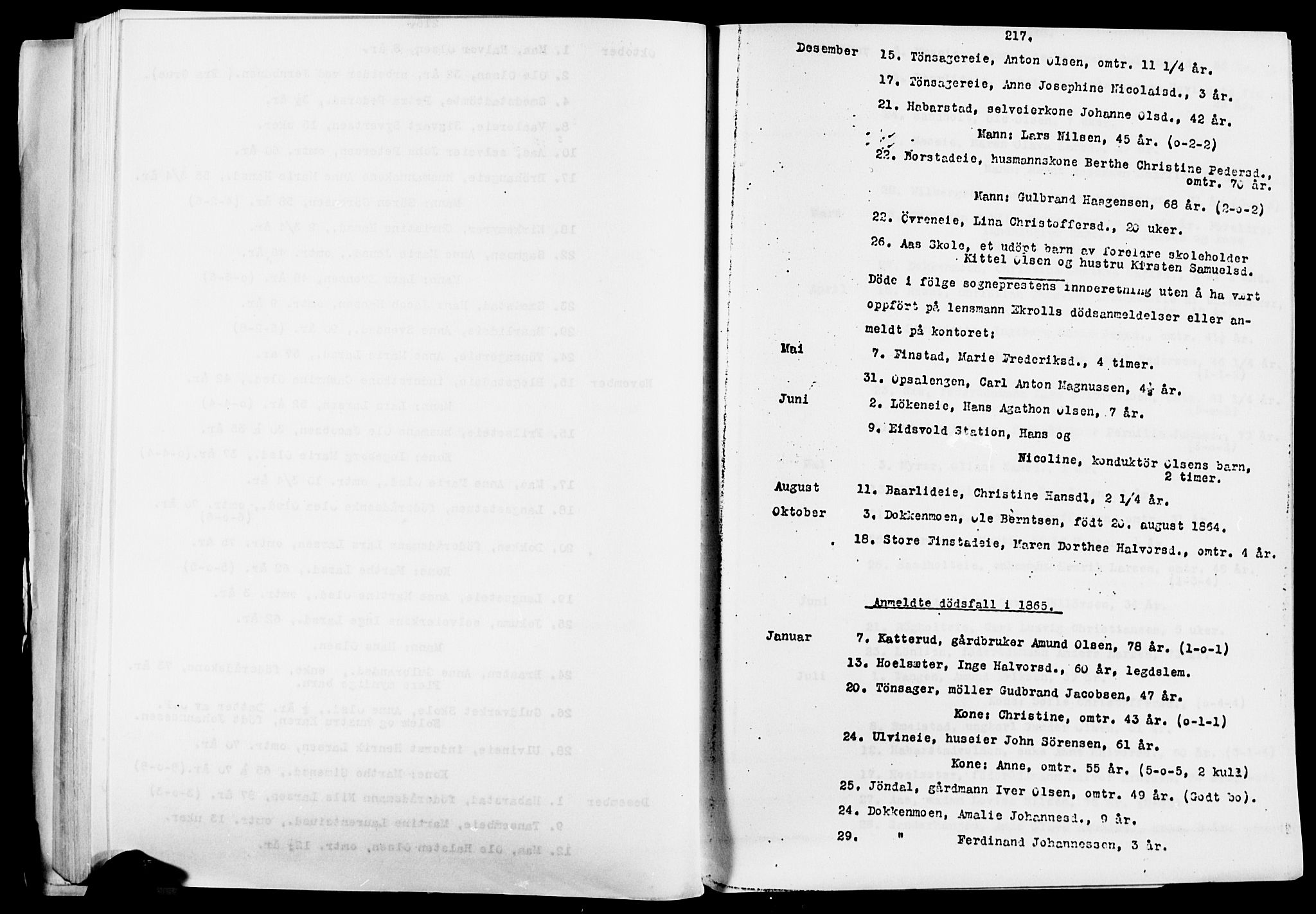 Eidsvoll prestekontor Kirkebøker, SAO/A-10888/O/Oa/L0005: Other parish register no. 5, 1815-1865, p. 217
