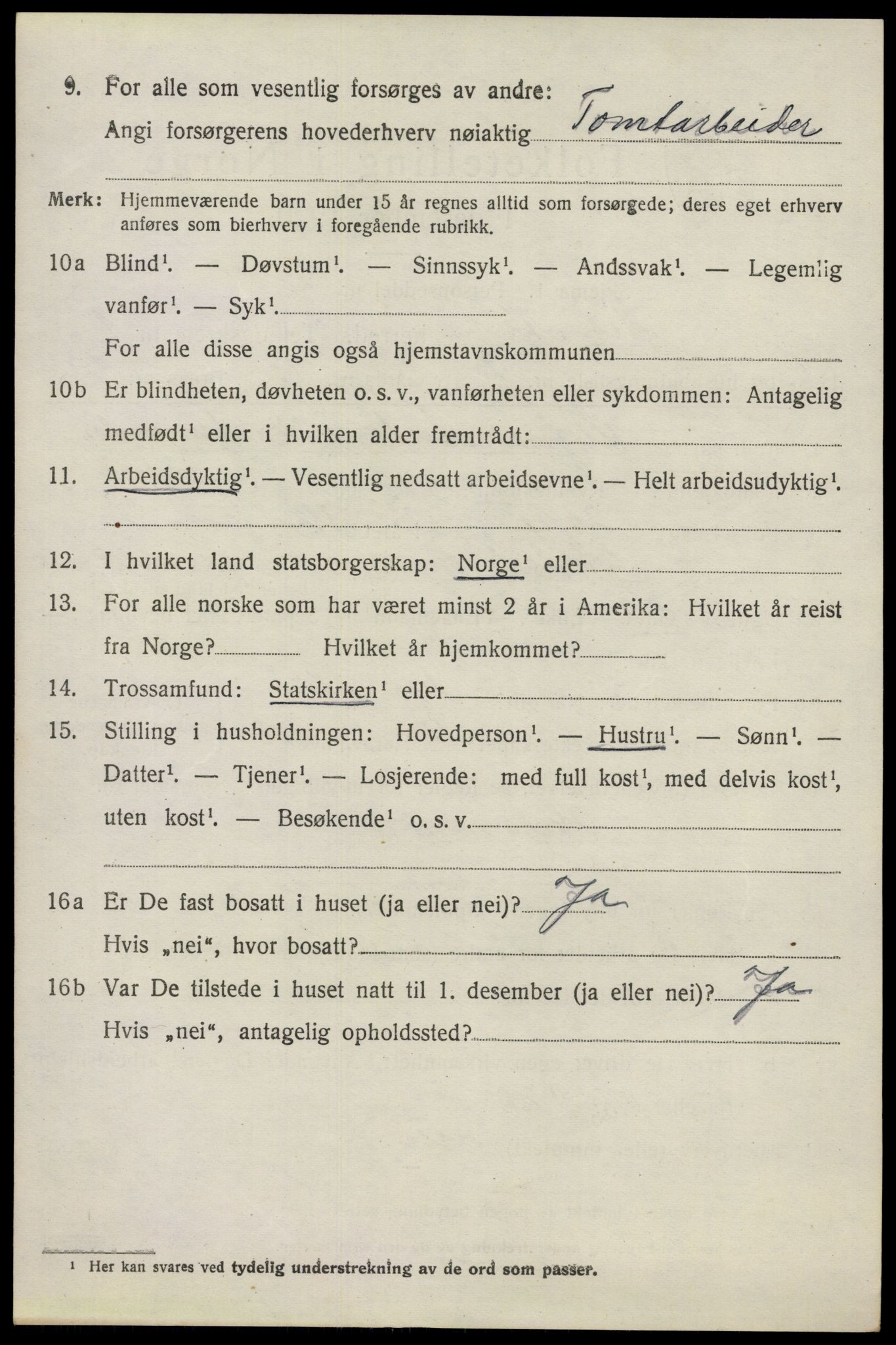 SAO, 1920 census for Nes, 1920, p. 3399