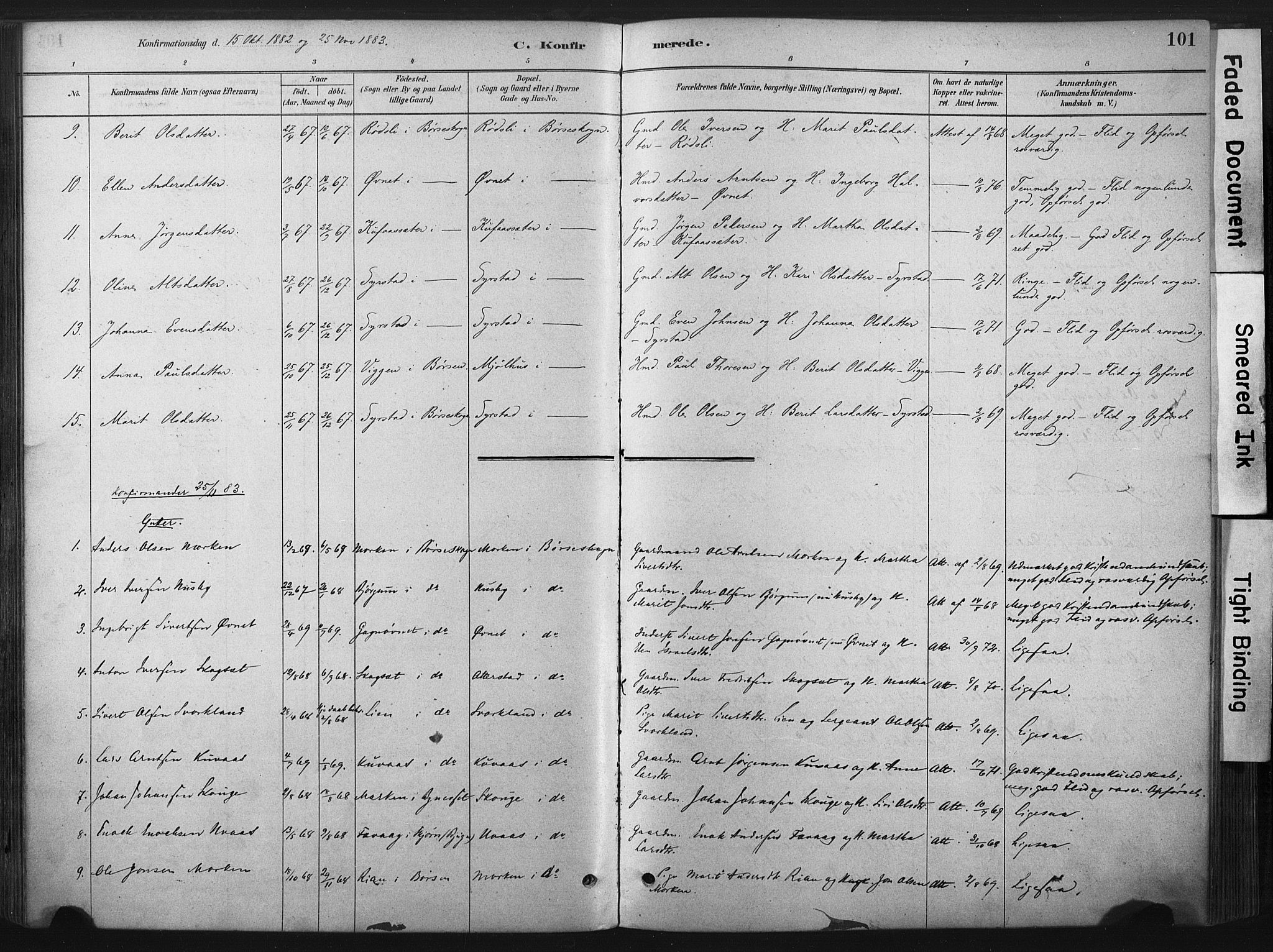 Ministerialprotokoller, klokkerbøker og fødselsregistre - Sør-Trøndelag, SAT/A-1456/667/L0795: Parish register (official) no. 667A03, 1879-1907, p. 101