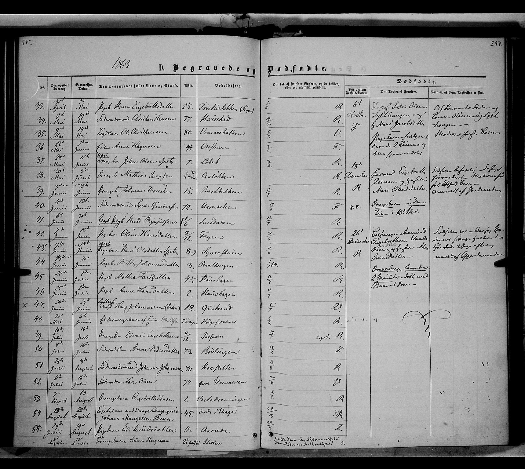 Ringebu prestekontor, AV/SAH-PREST-082/H/Ha/Haa/L0007: Parish register (official) no. 7, 1860-1877, p. 251