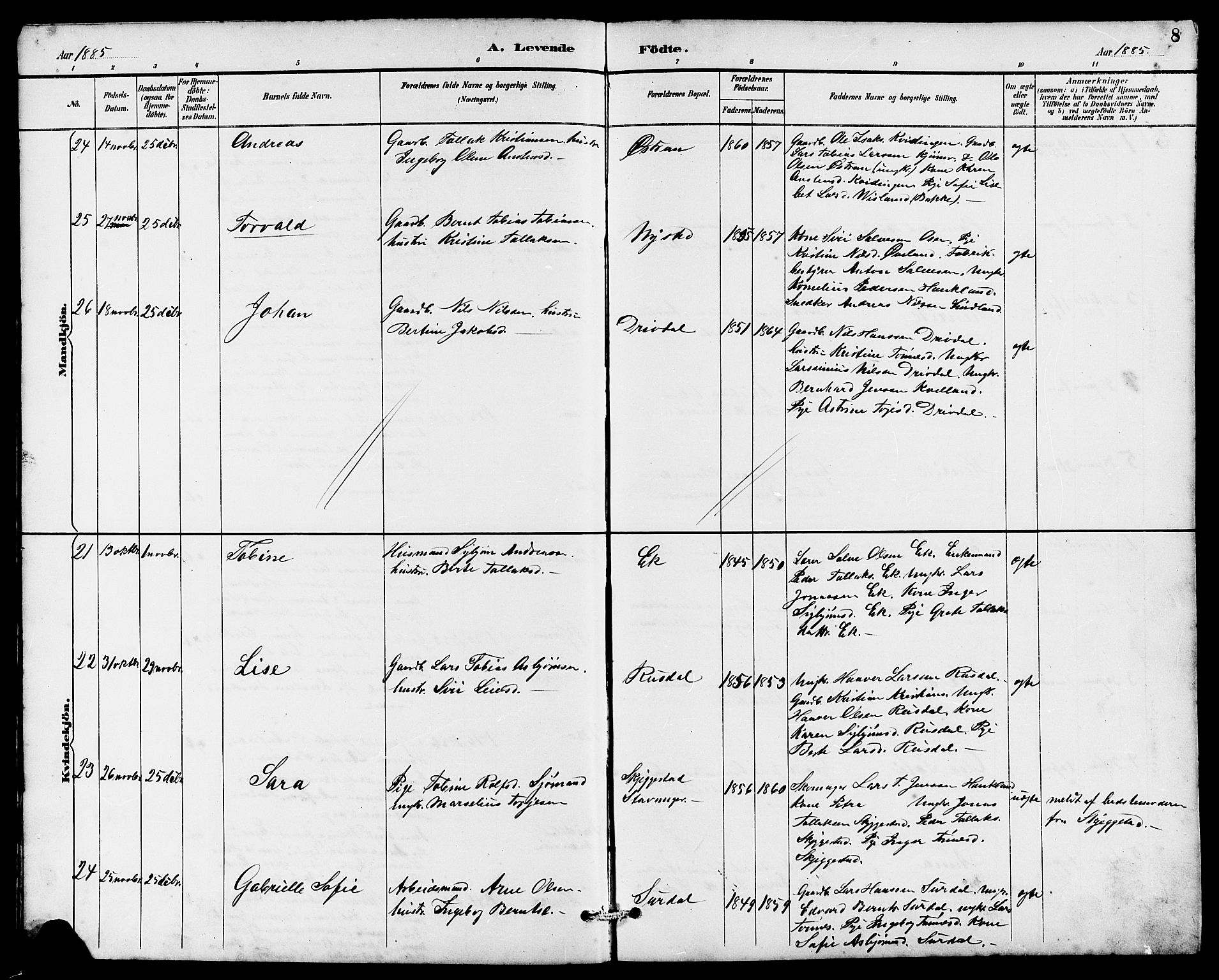 Lund sokneprestkontor, SAST/A-101809/S07/L0006: Parish register (copy) no. B 6, 1885-1901, p. 8