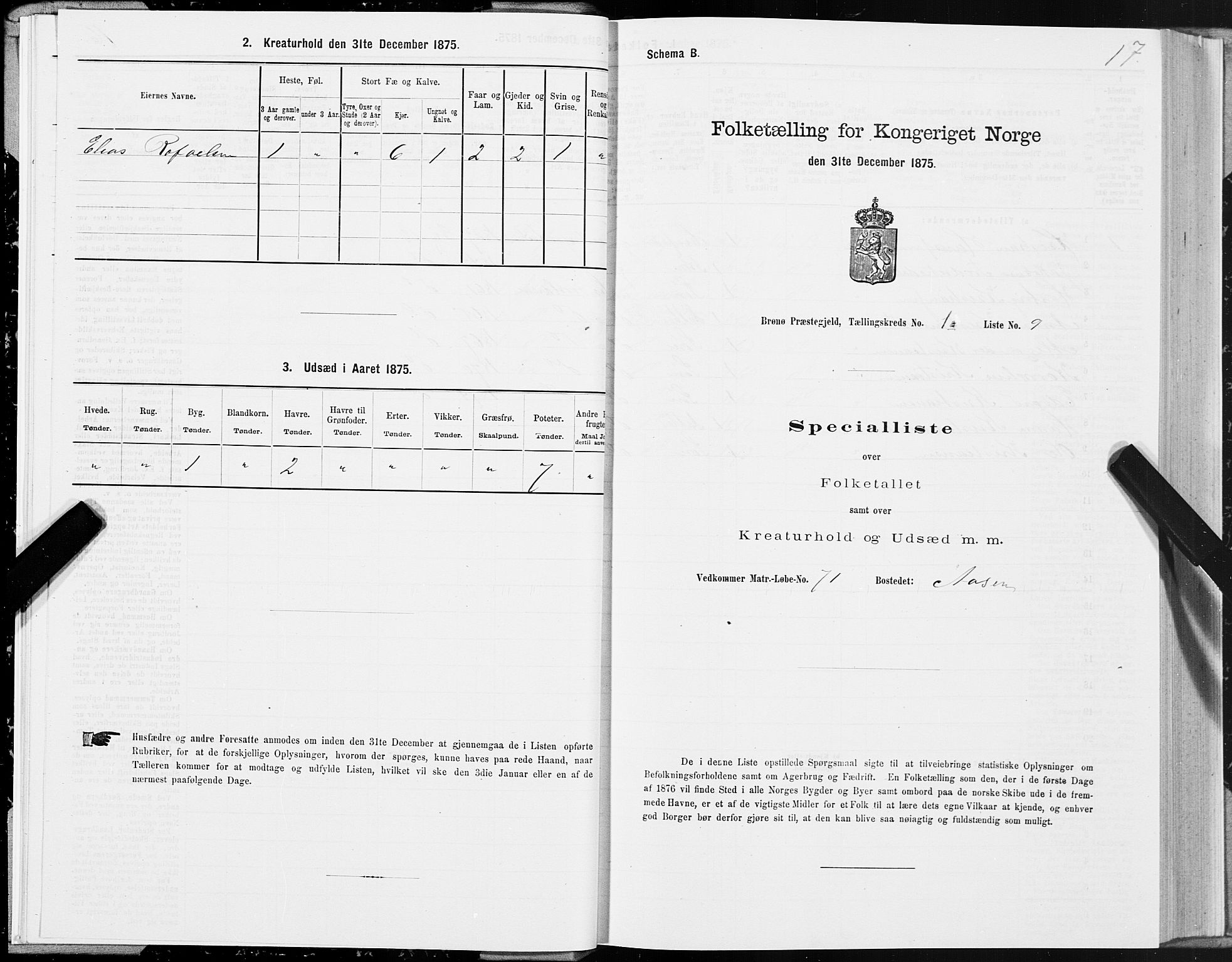 SAT, 1875 census for 1814P Brønnøy, 1875, p. 1017