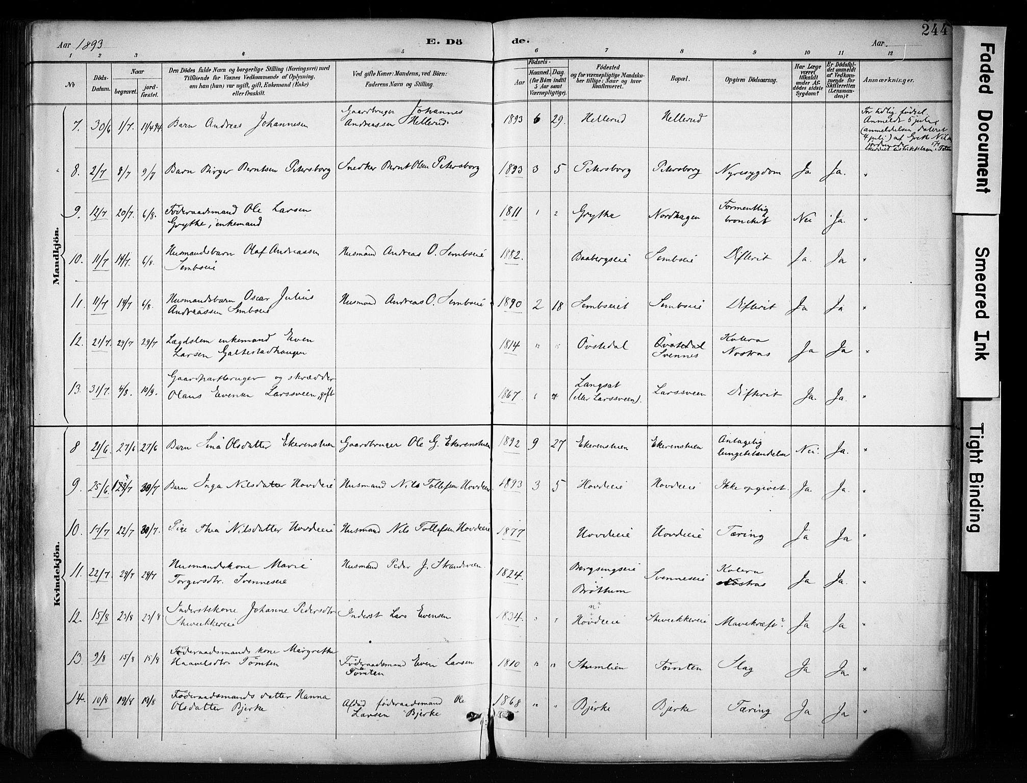 Biri prestekontor, AV/SAH-PREST-096/H/Ha/Haa/L0009: Parish register (official) no. 9, 1887-1900, p. 244